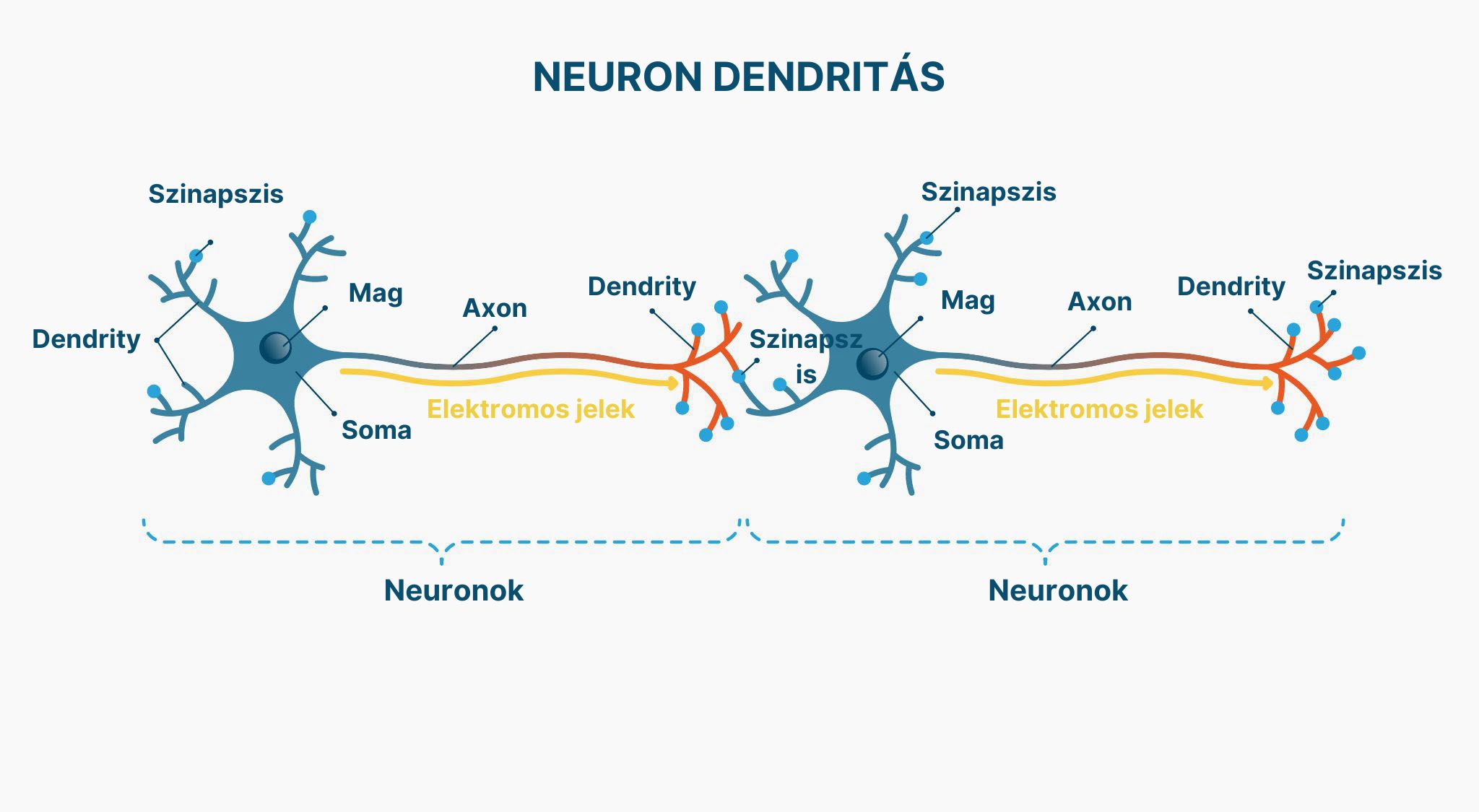(Maďarština) (86)