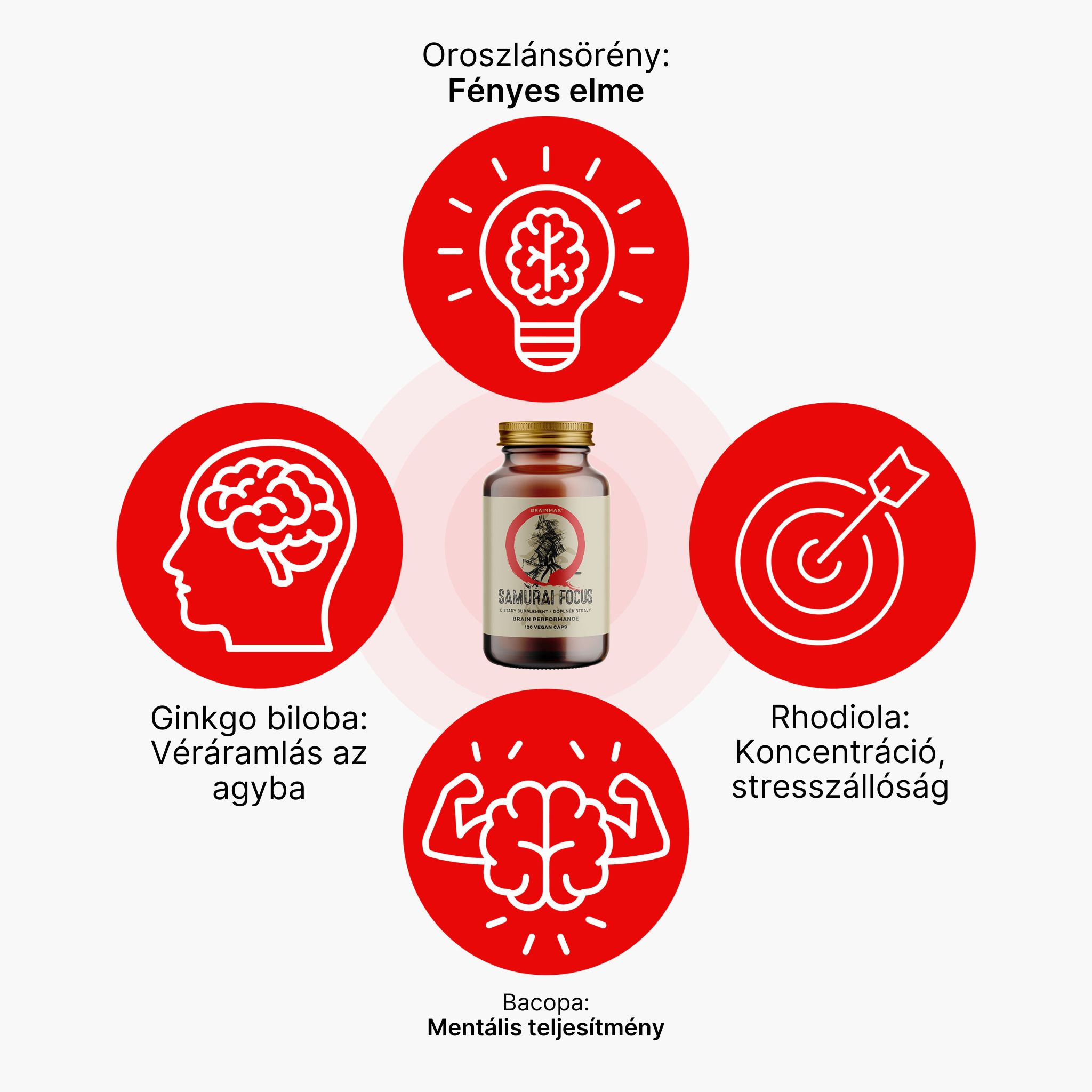 (Maďarština) (87)