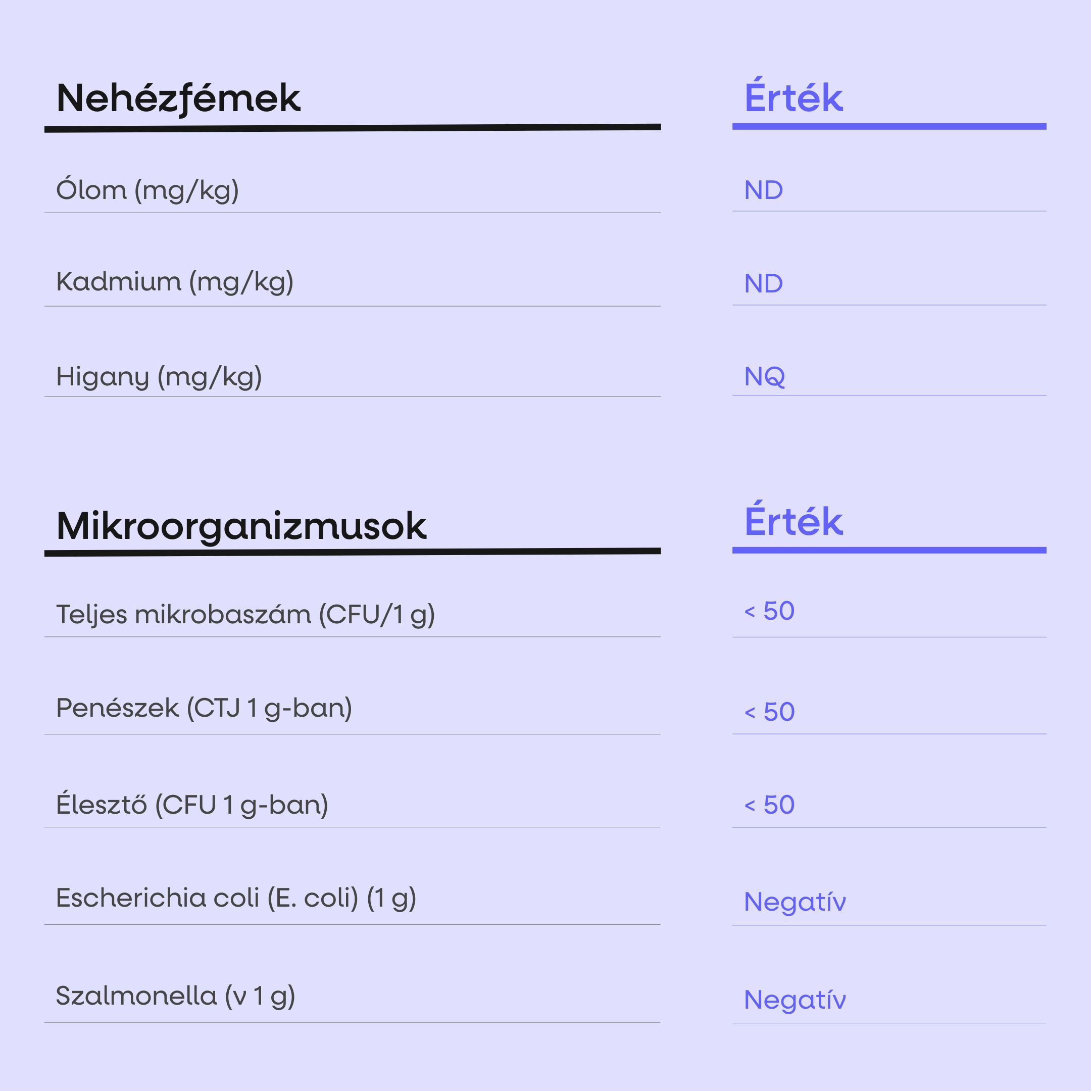 (Maďarština) - 2025-08-15T114930.359