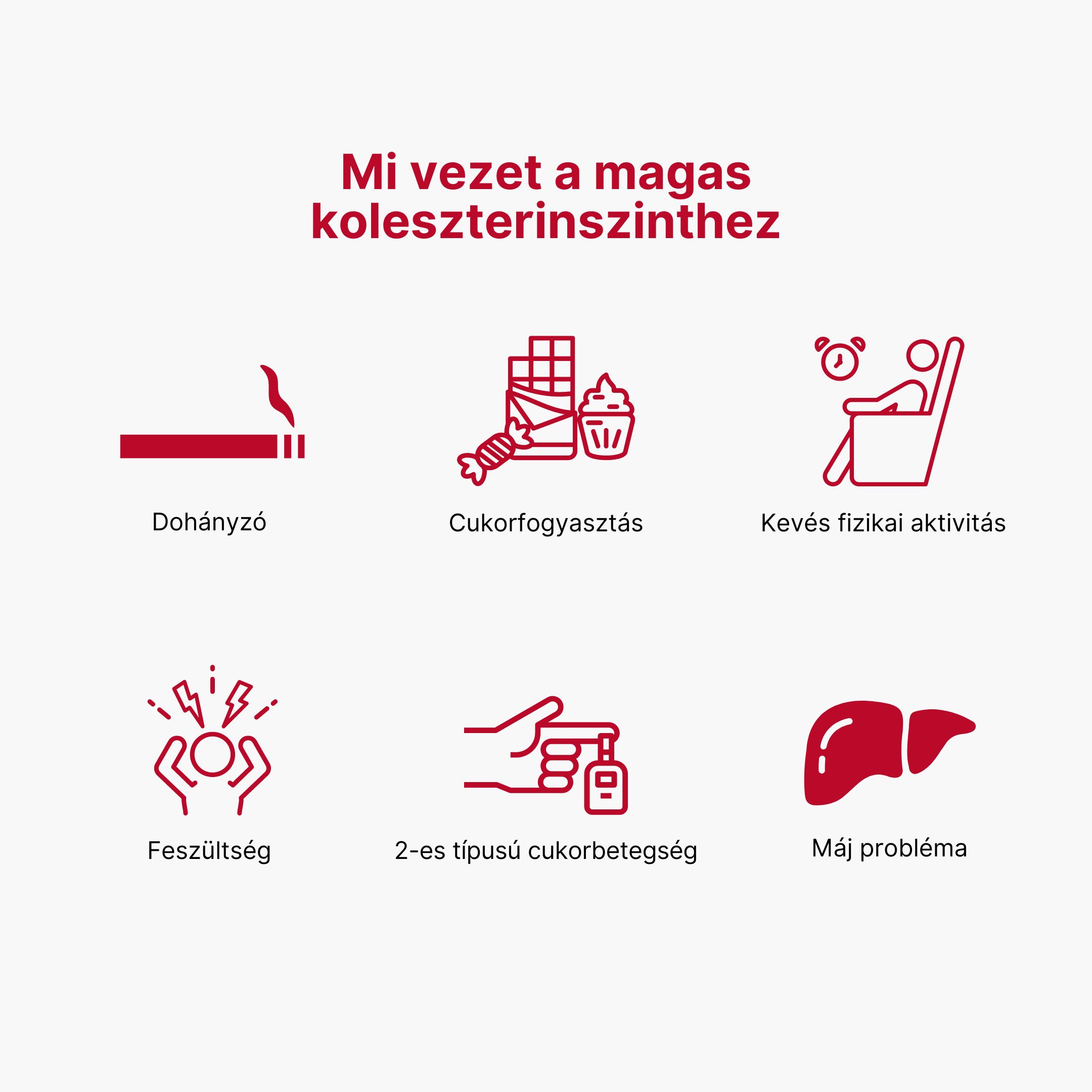 (Maďarština) Co vede k vysokému cholesterolu