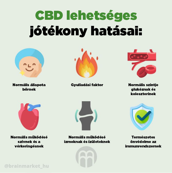 cbd_tvrzeni_infografika_brainmarket_hu