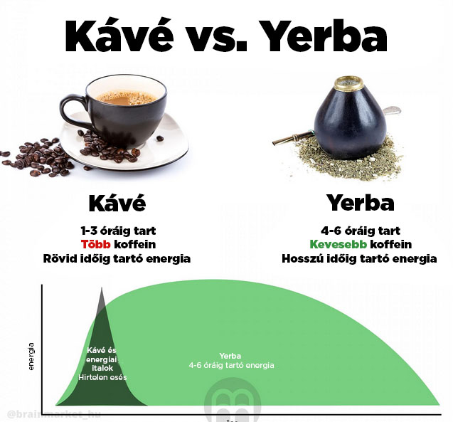 kava-vs-yerba-infografika-brainmarket-hu_1