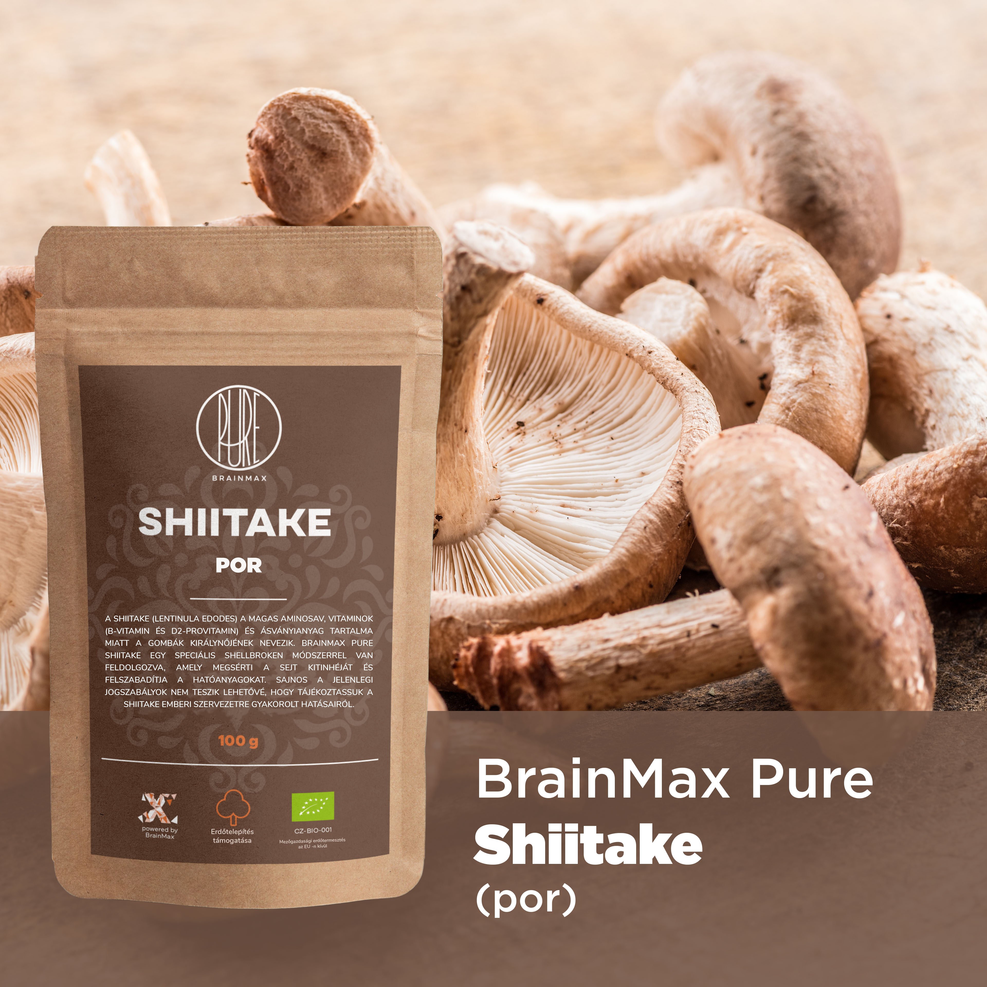 shiitake_infografika_brainmarket_hu