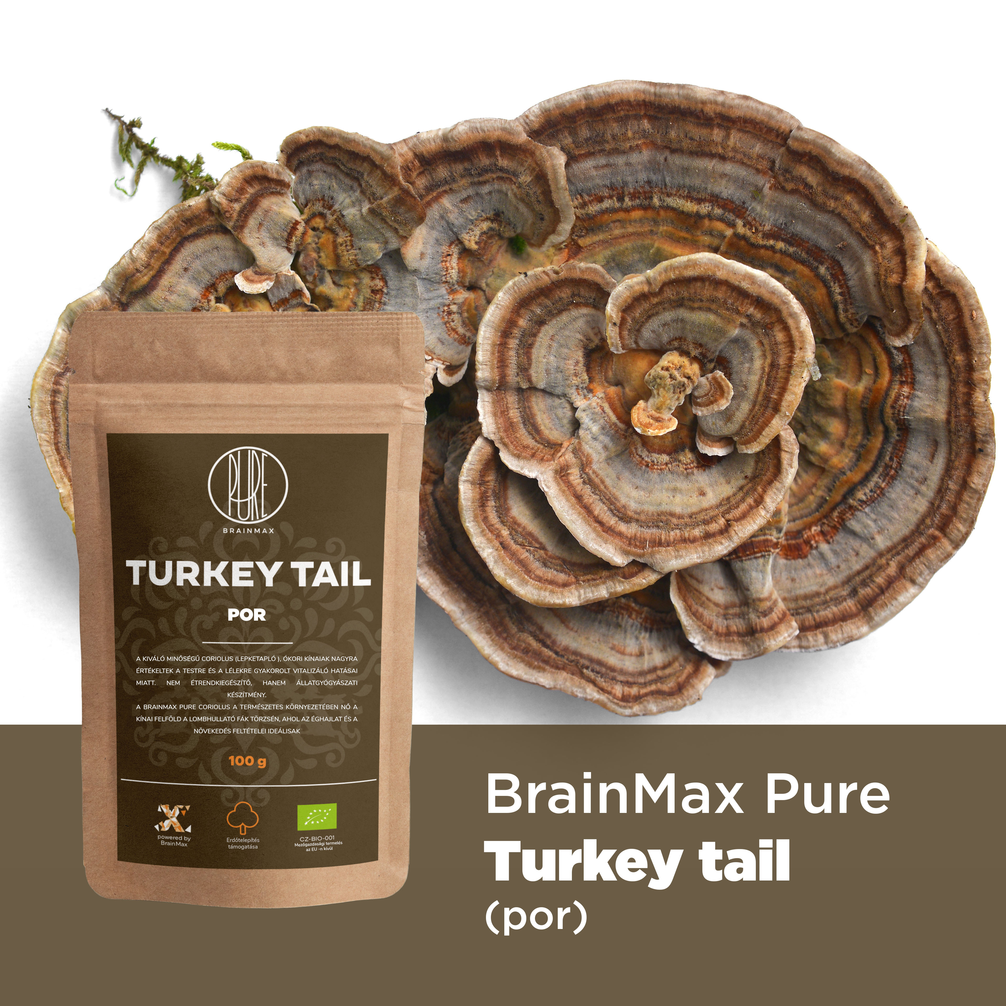 turkey_tail_infografika_brainmarket_hu