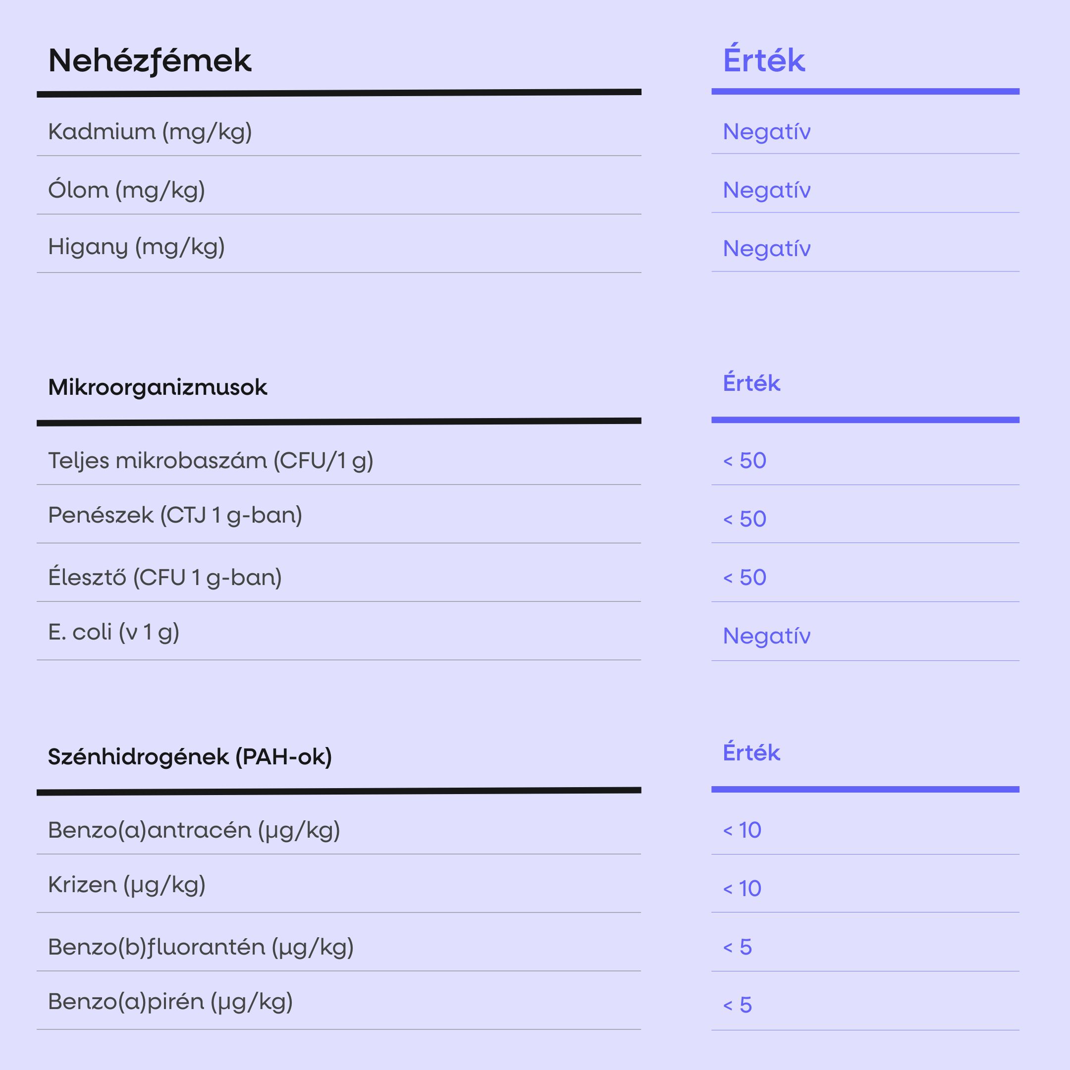 (Maďarština) - 2025-07-28T135847.765