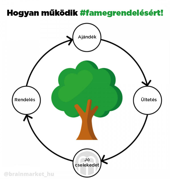 stromzaobjednavku-infografika-brainmarket-hu