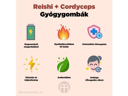 28746 coffee brainmax reishi cordyceps jpg eshop