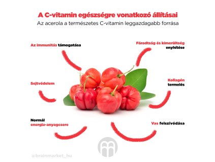 28044 4 vizual acerola jpg