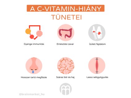 27969 1 vizual camu camu jpg