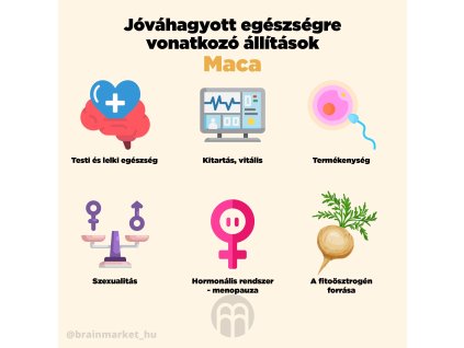vizual maca JPG