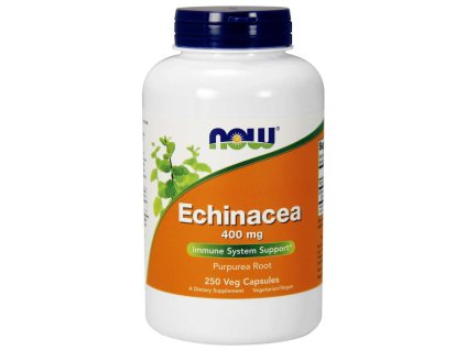 echinacea 250