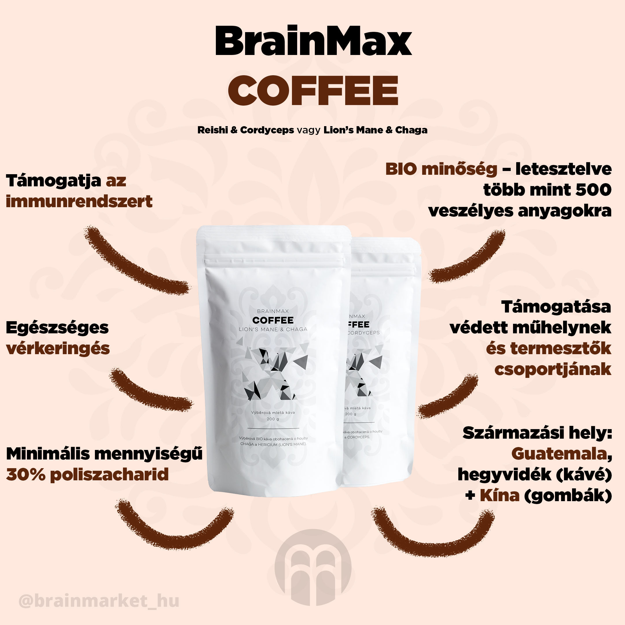 BrainMax Coffee Lion's Mane & Chaga, káva s vitálními houbami, BIO, 200g Obrázek