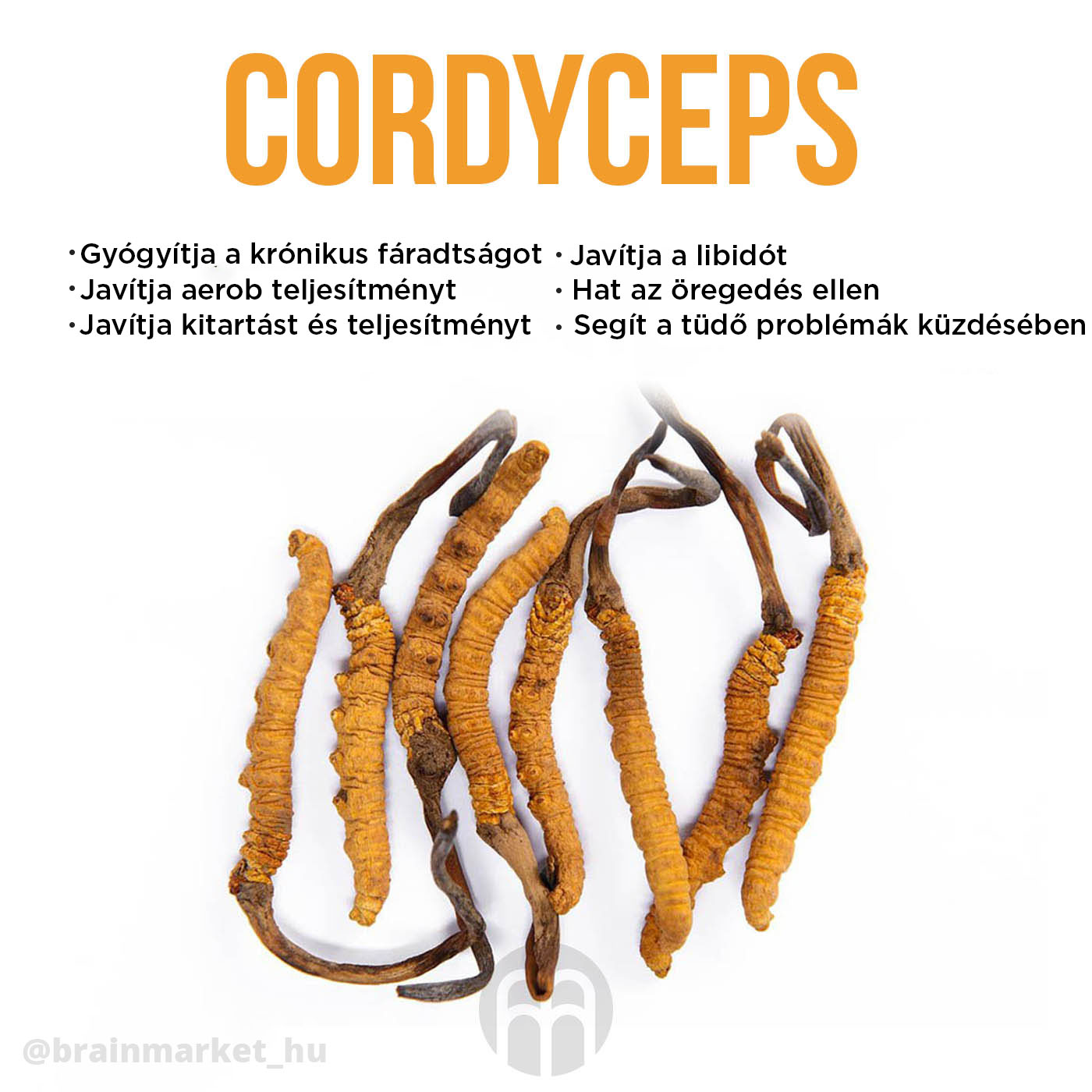 BrainMax Coffee Reishi & Cordyceps, káva s vitálními houbami, BIO, 200g Obrázek