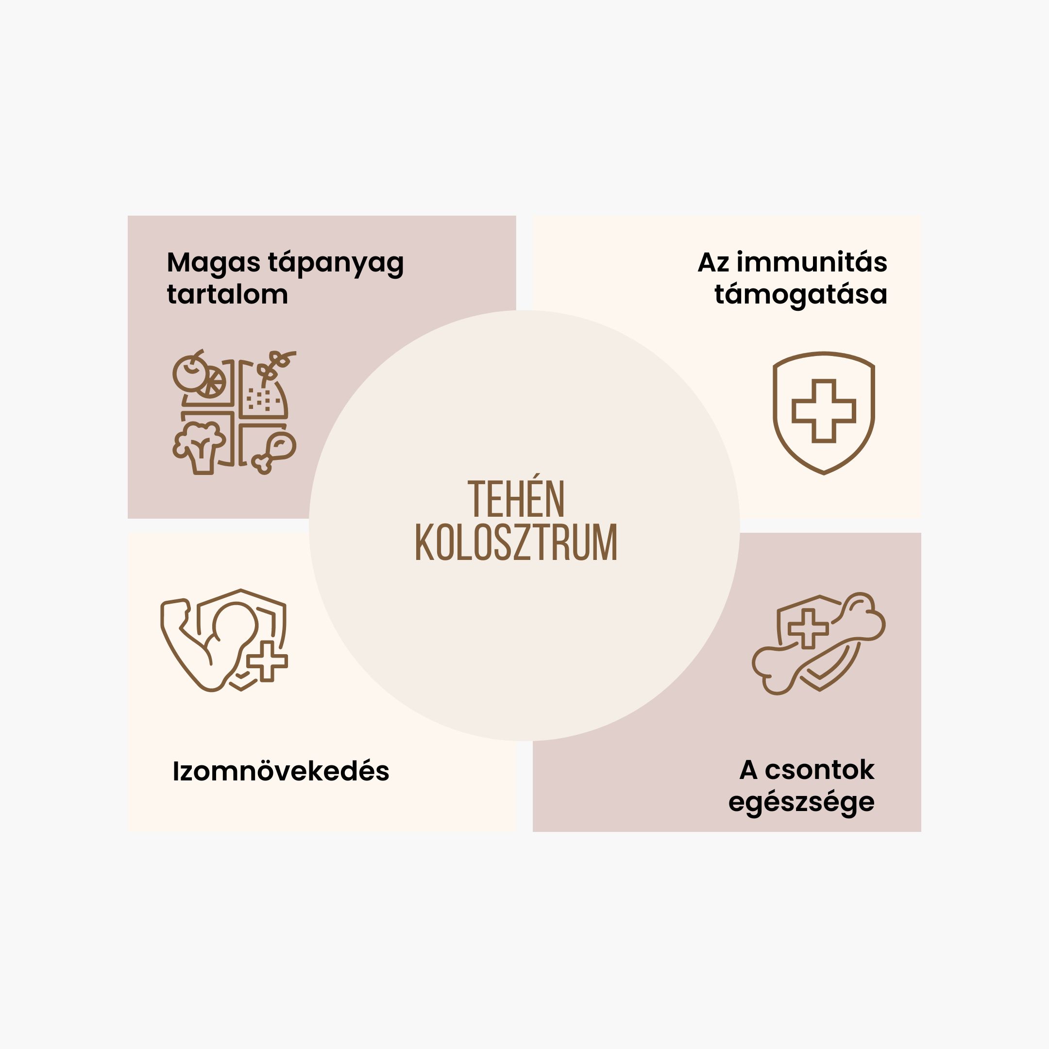 BrainMax Performance Protein Čokoláda 2 kg Obrázek