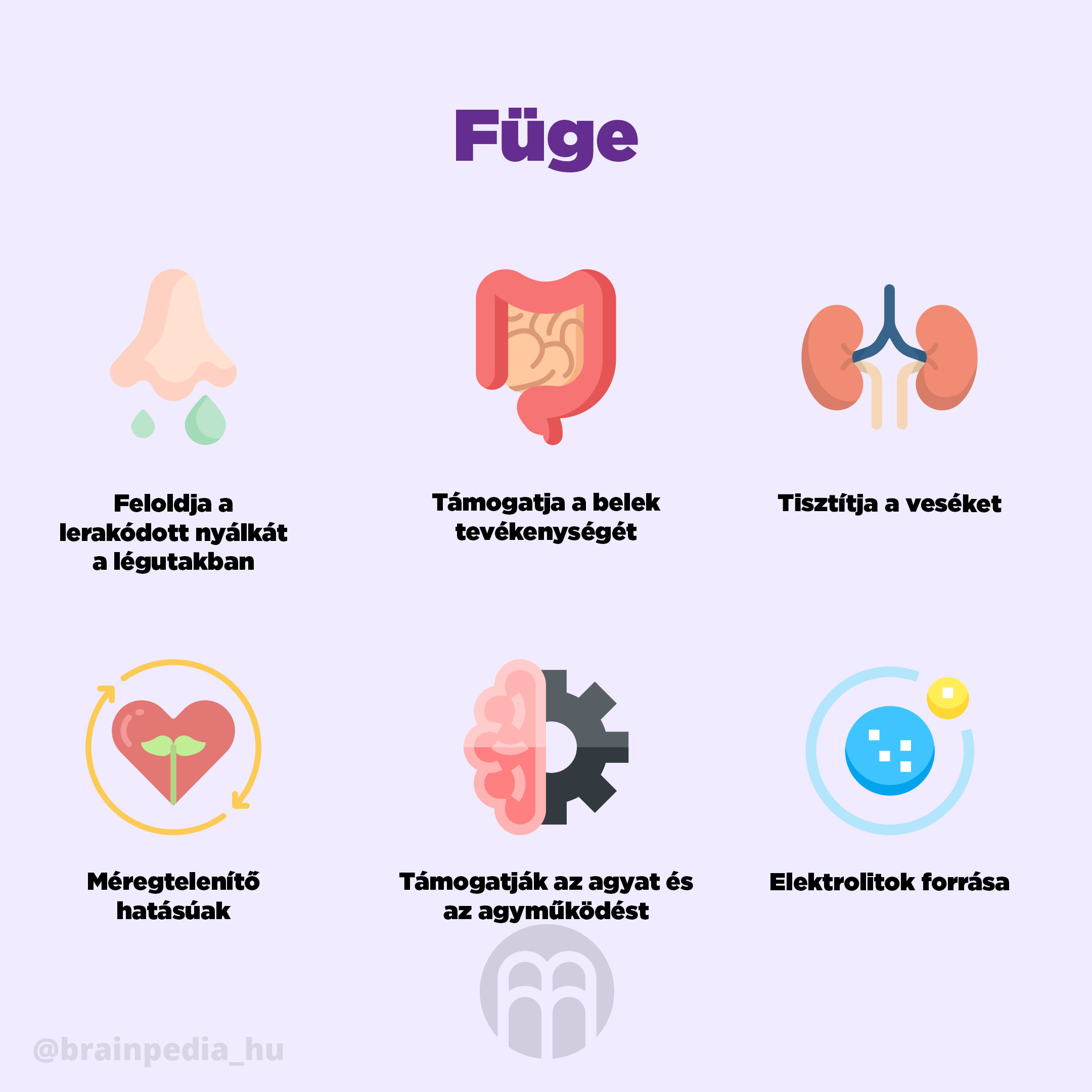 BrainMax Pure Fíky sušené - celé BIO, 250 g Obrázek