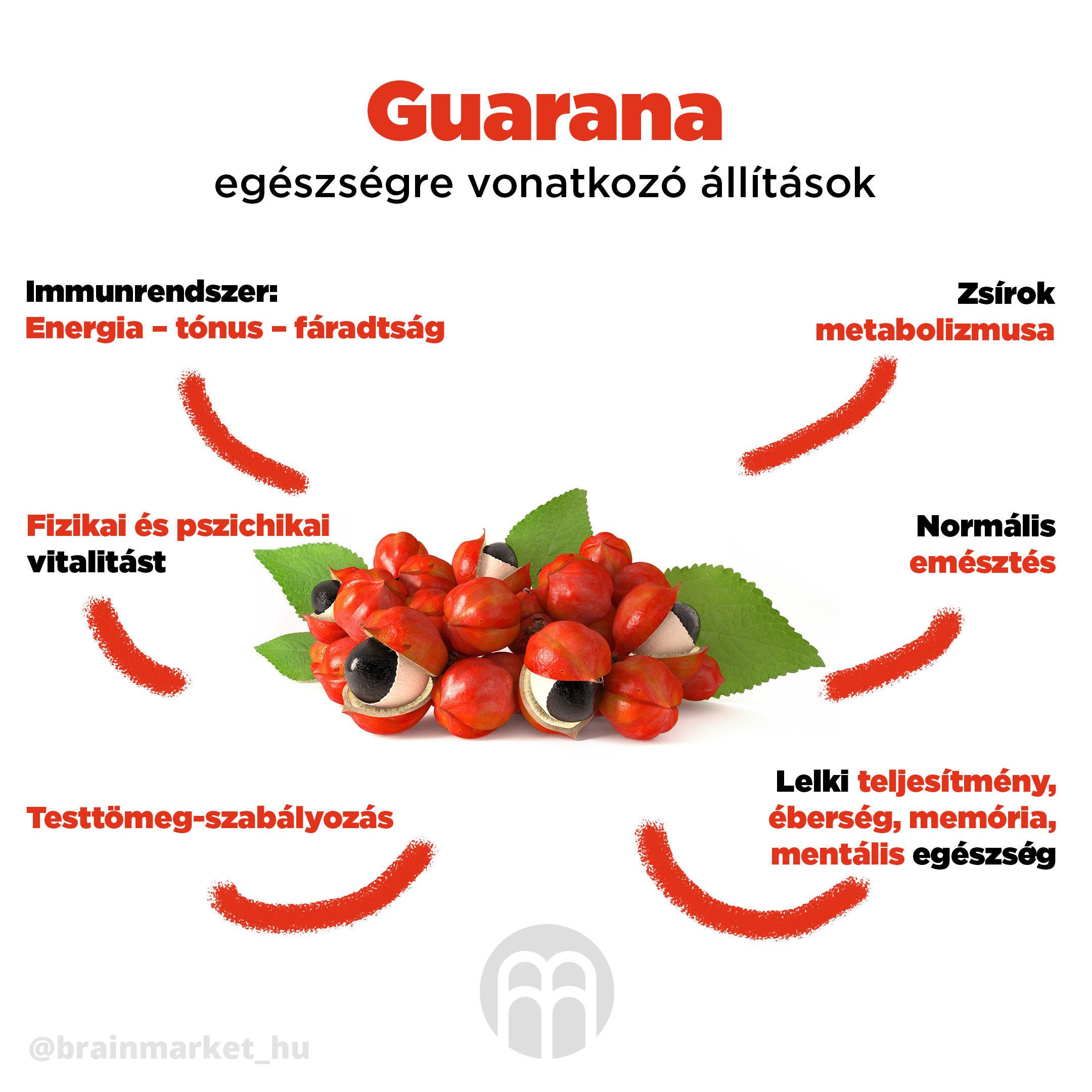 BrainMax Pure Guarana BIO prášek, 100 g Obrázek