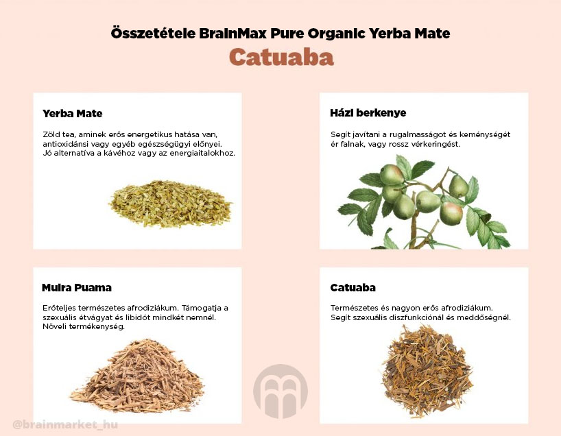 BrainMax Pure Yerba Maté, Catuaba, 500 g Obrázek