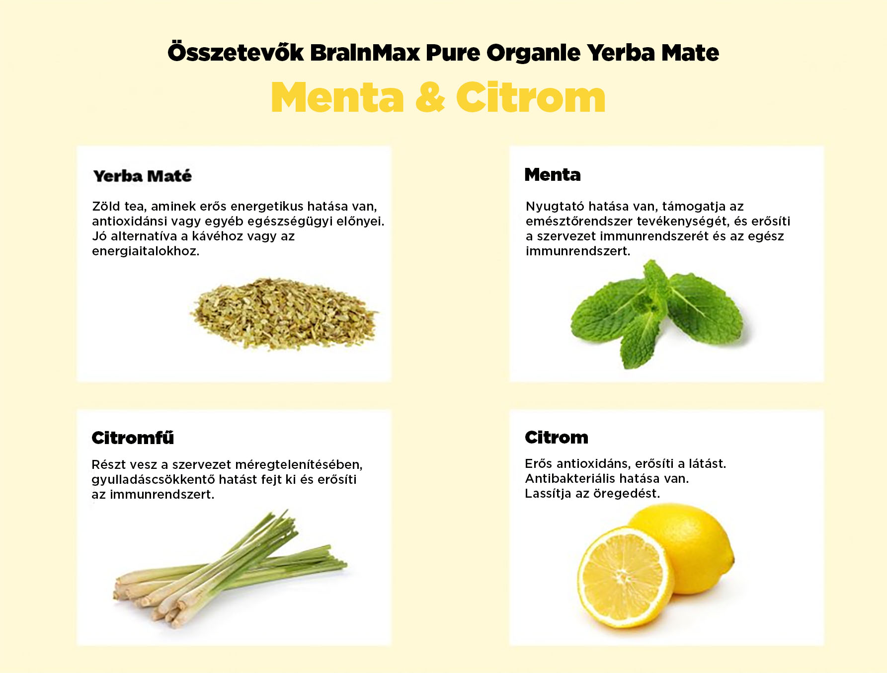 BrainMax Pure Yerba Maté, Máta & Citrón, 1000 g Obrázek