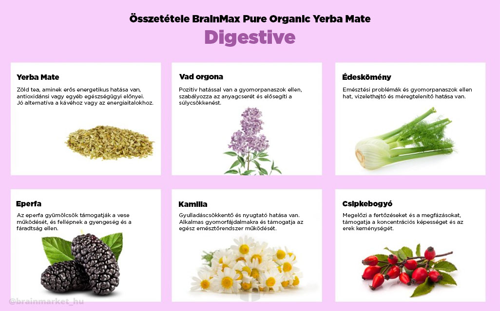 BrainMax Pure Yerba Maté, Digestive, 500 g Obrázek