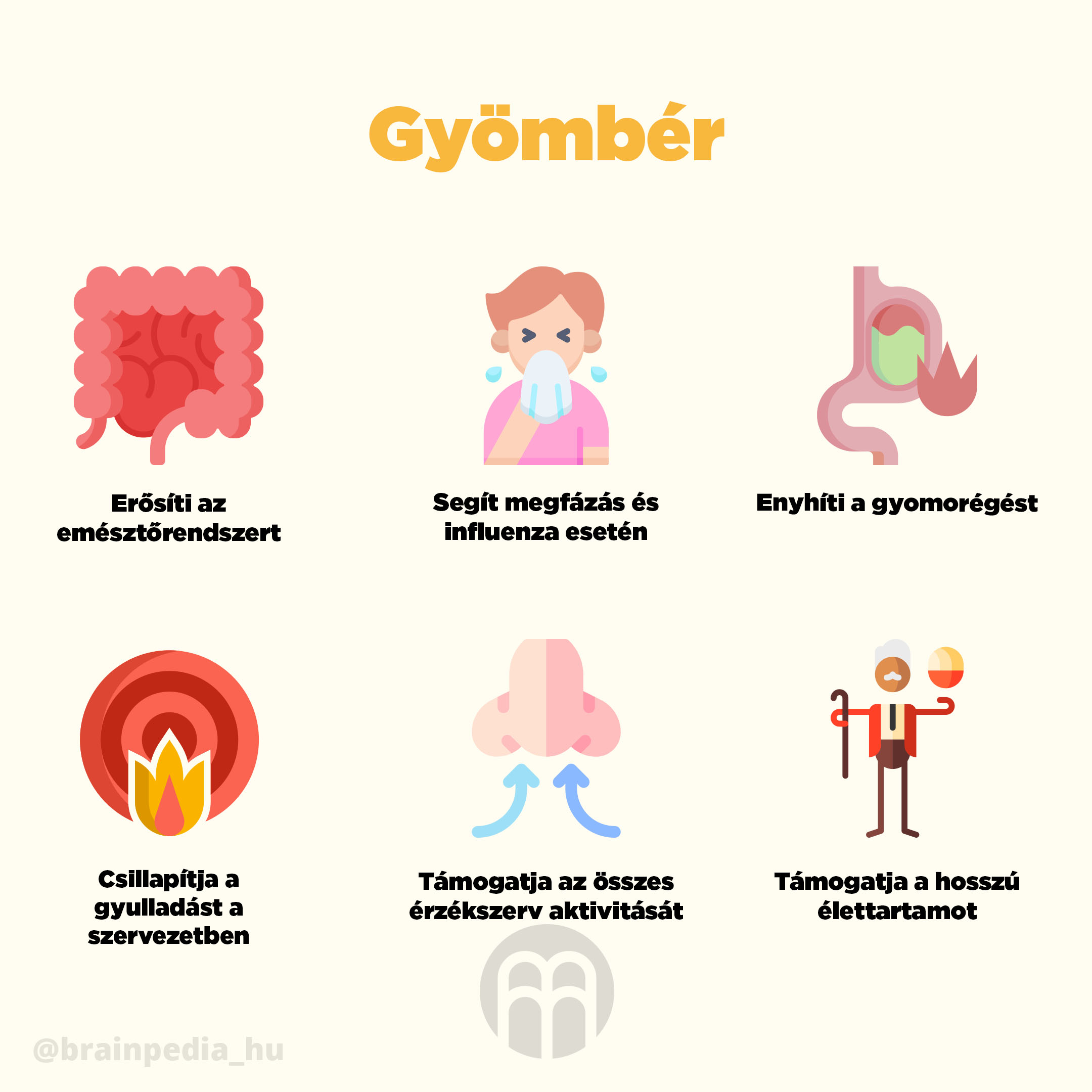 BrainMax Pure Zázvor BIO prášek, 100 g Obrázek