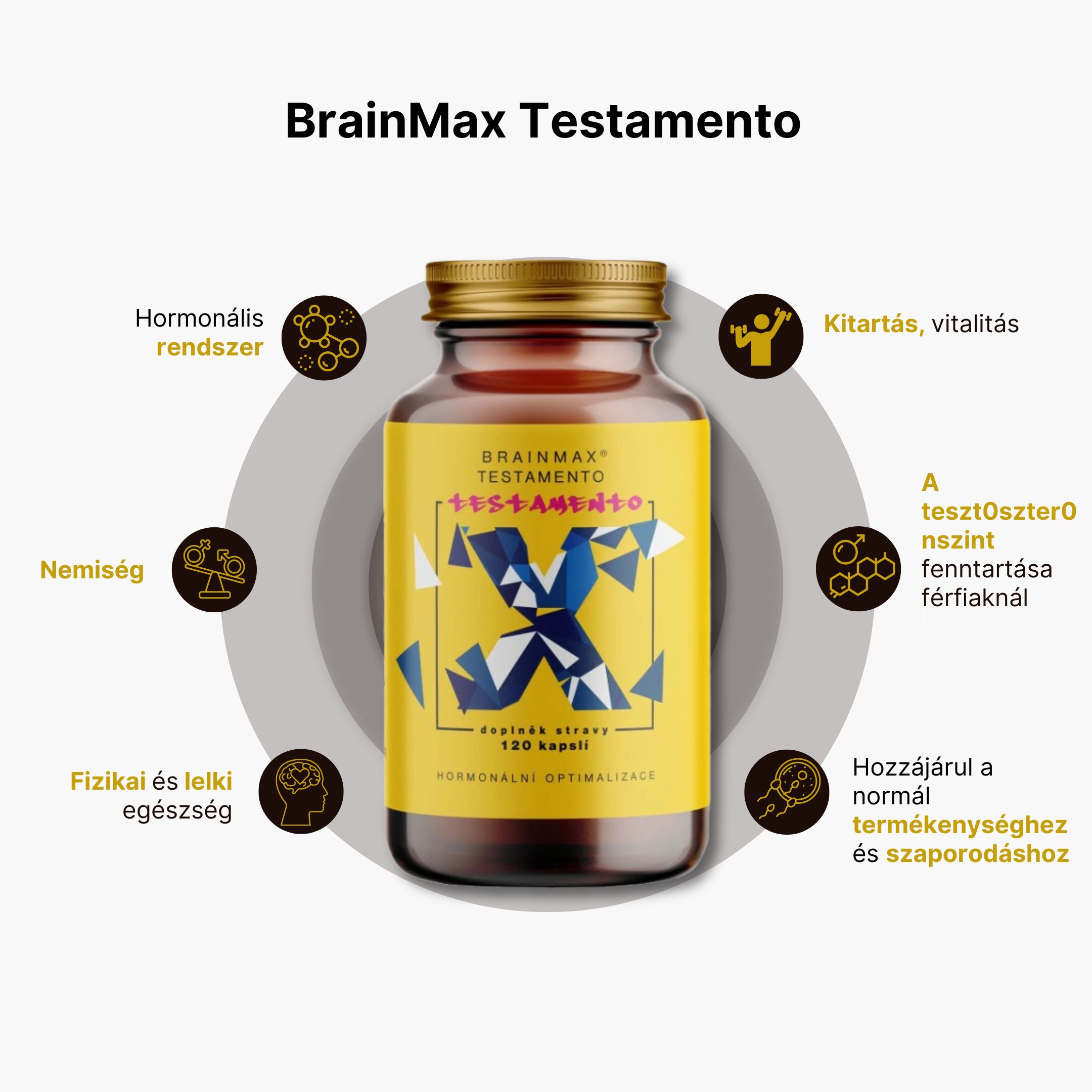 BrainMax Testamento 120 tablet Obrázek
