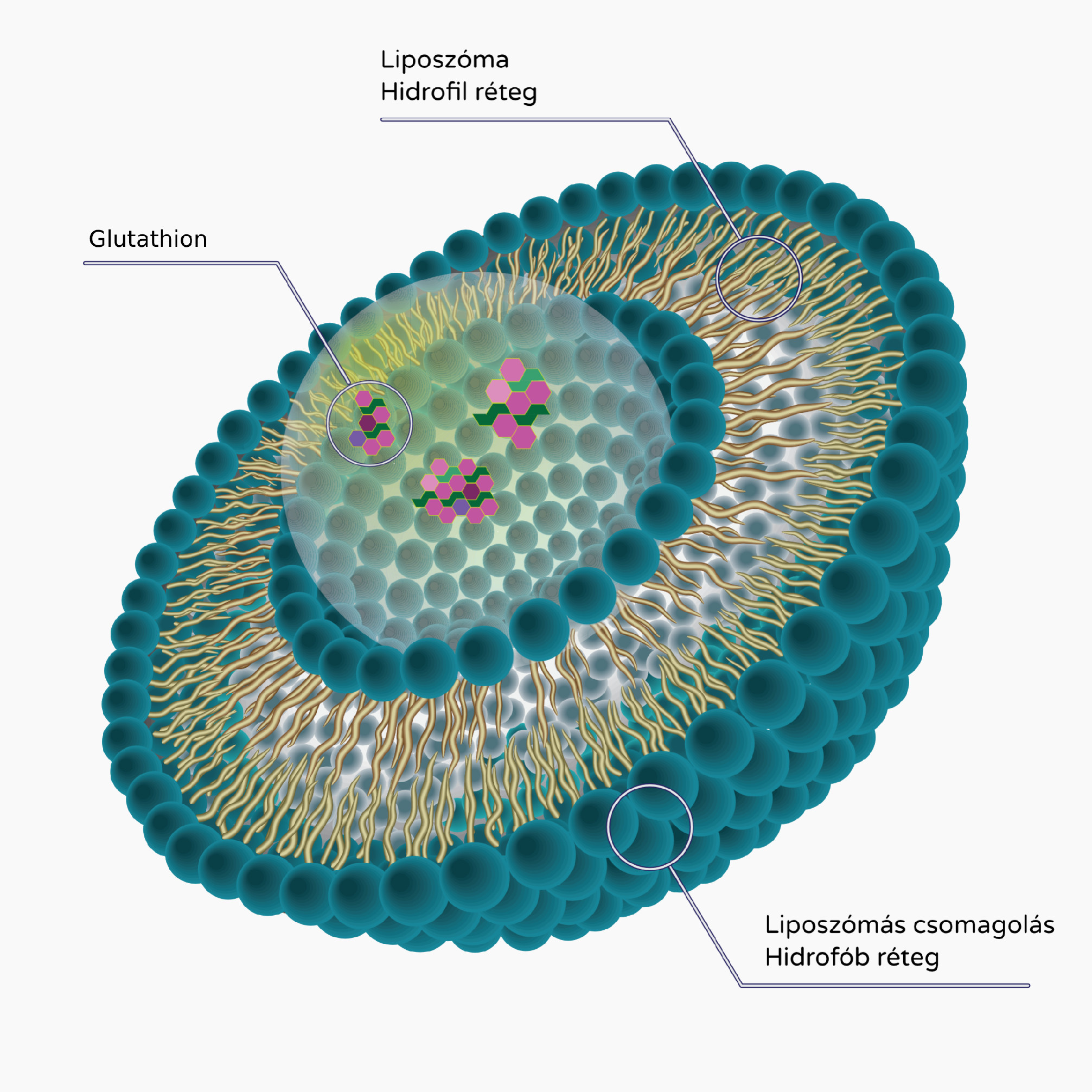 BrainMax Liposomal Glutathione, Tekutý lipozomální Glutathion, 200 ml Obrázek