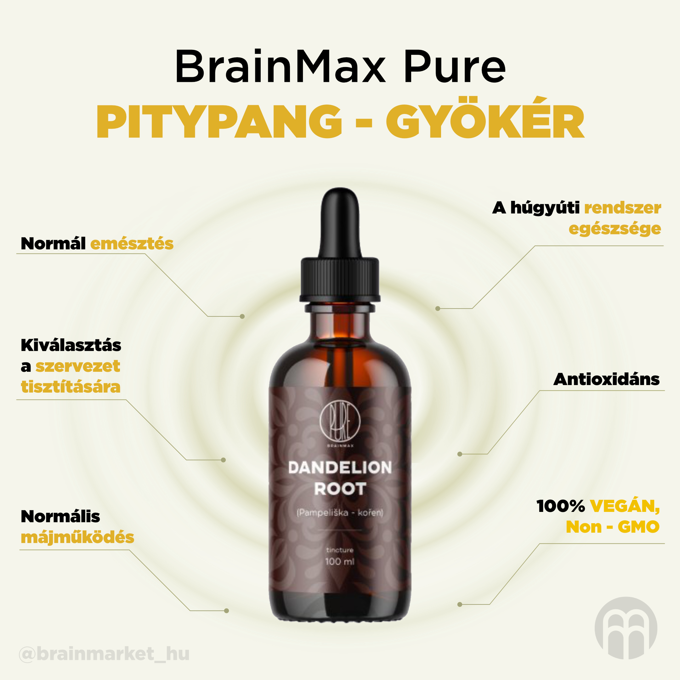 BrainMax Pure Pampeliška kořen (Dandelion root) tinktura 1:3, 100 ml Obrázek