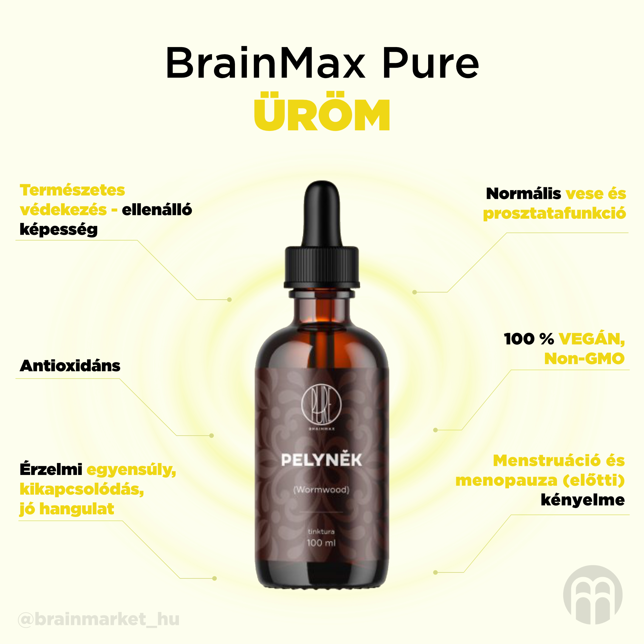 BrainMax Pure Pelyněk (Wormwood) tinktura 1:3, 100 ml Obrázek