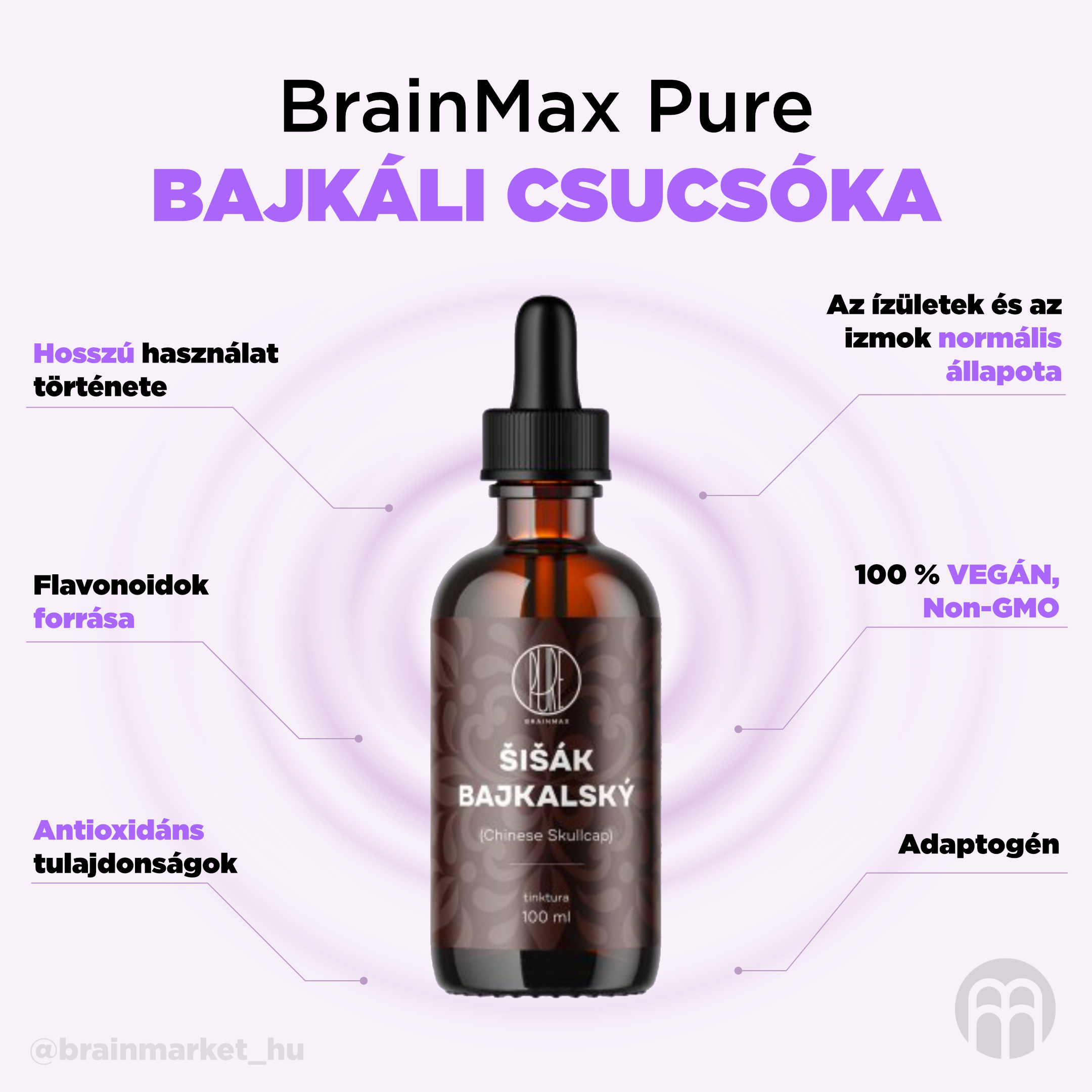 BrainMax Pure Šišák bajkalský (Chinese Skullcap) tinktura 1:3, 100 ml Obrázek