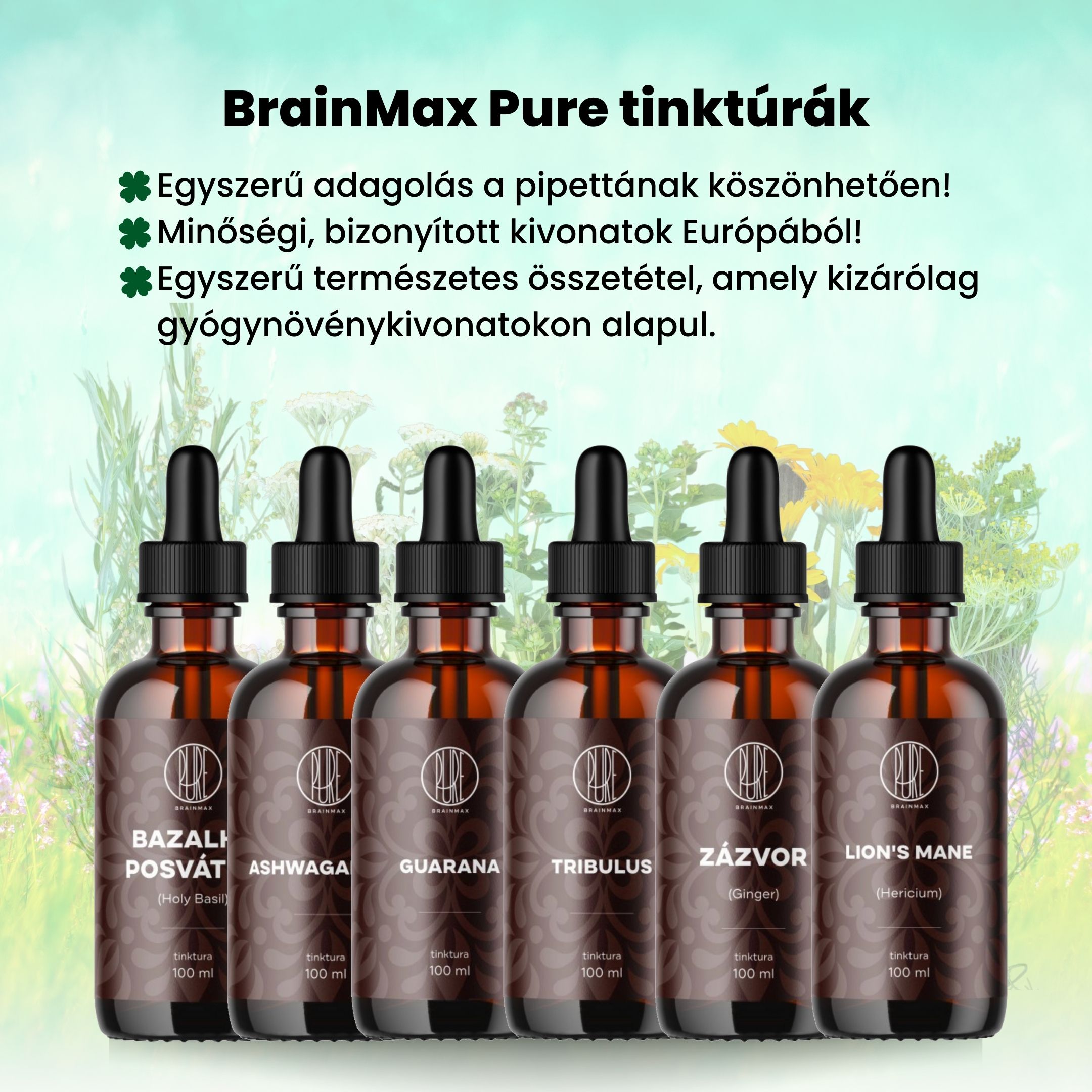 BrainMax Pure Šišák bajkalský (Chinese Skullcap) tinktura 1:3, 100 ml Obrázek