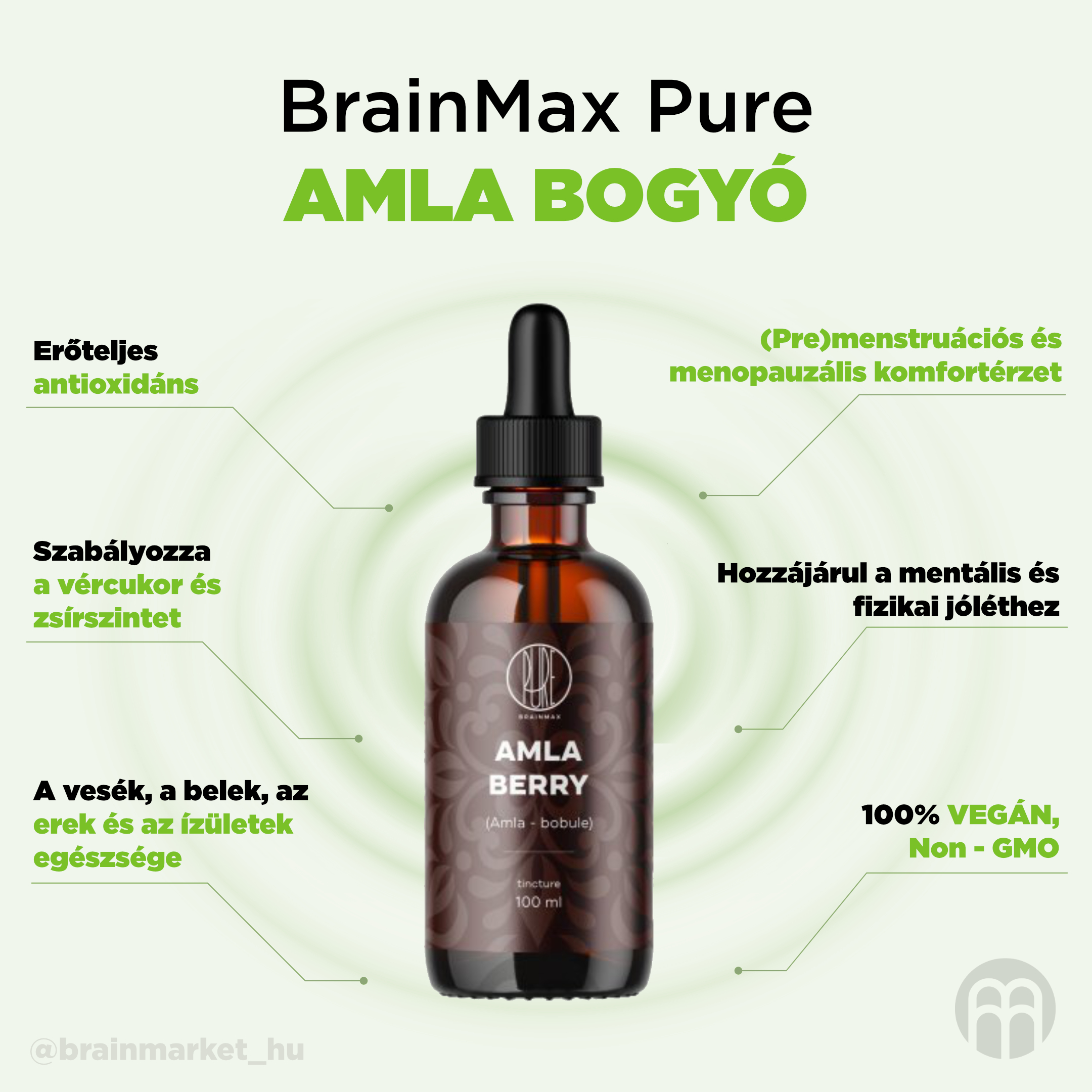 BrainMax Pure Amla bobule tinktura 1:2, 100 ml Obrázek