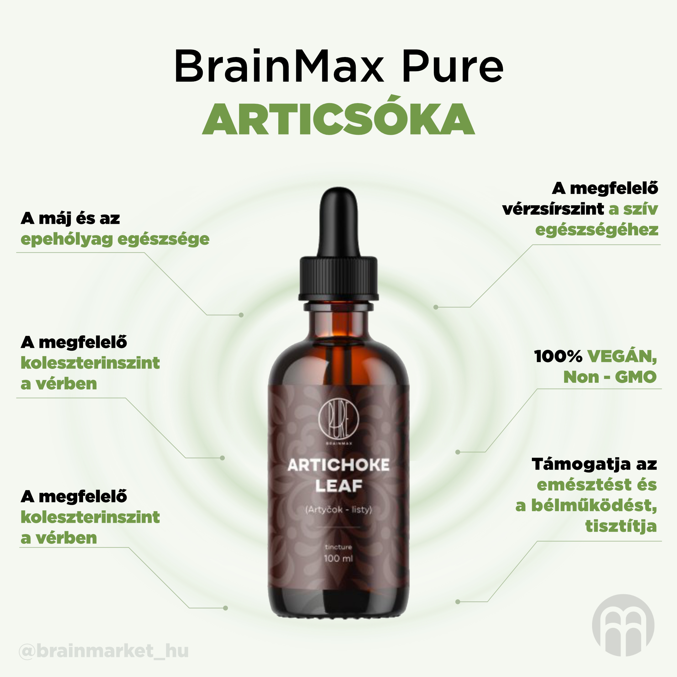 BrainMax Pure Artyčok listy tinktura 1:3, 100 ml Obrázek