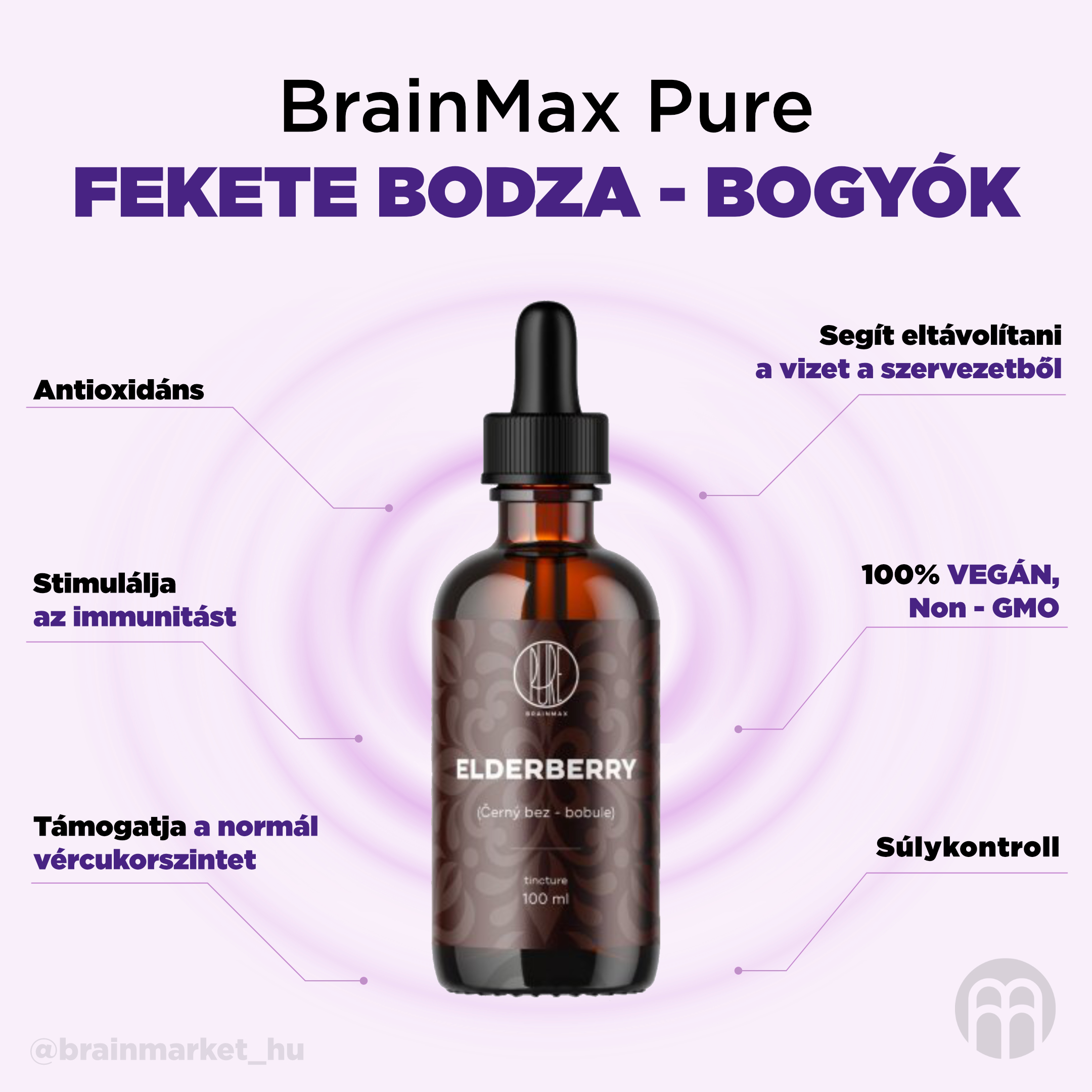 BrainMax Pure Černý bez bobule (Elderberry) tinktura 1:3, 100 ml Obrázek
