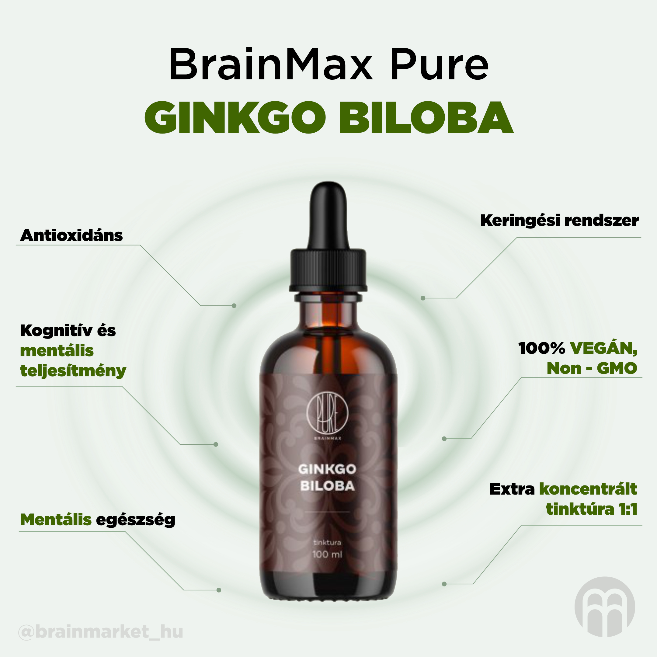 BrainMax Pure Ginkgo Biloba tinktura 1:1, 100 ml Obrázek
