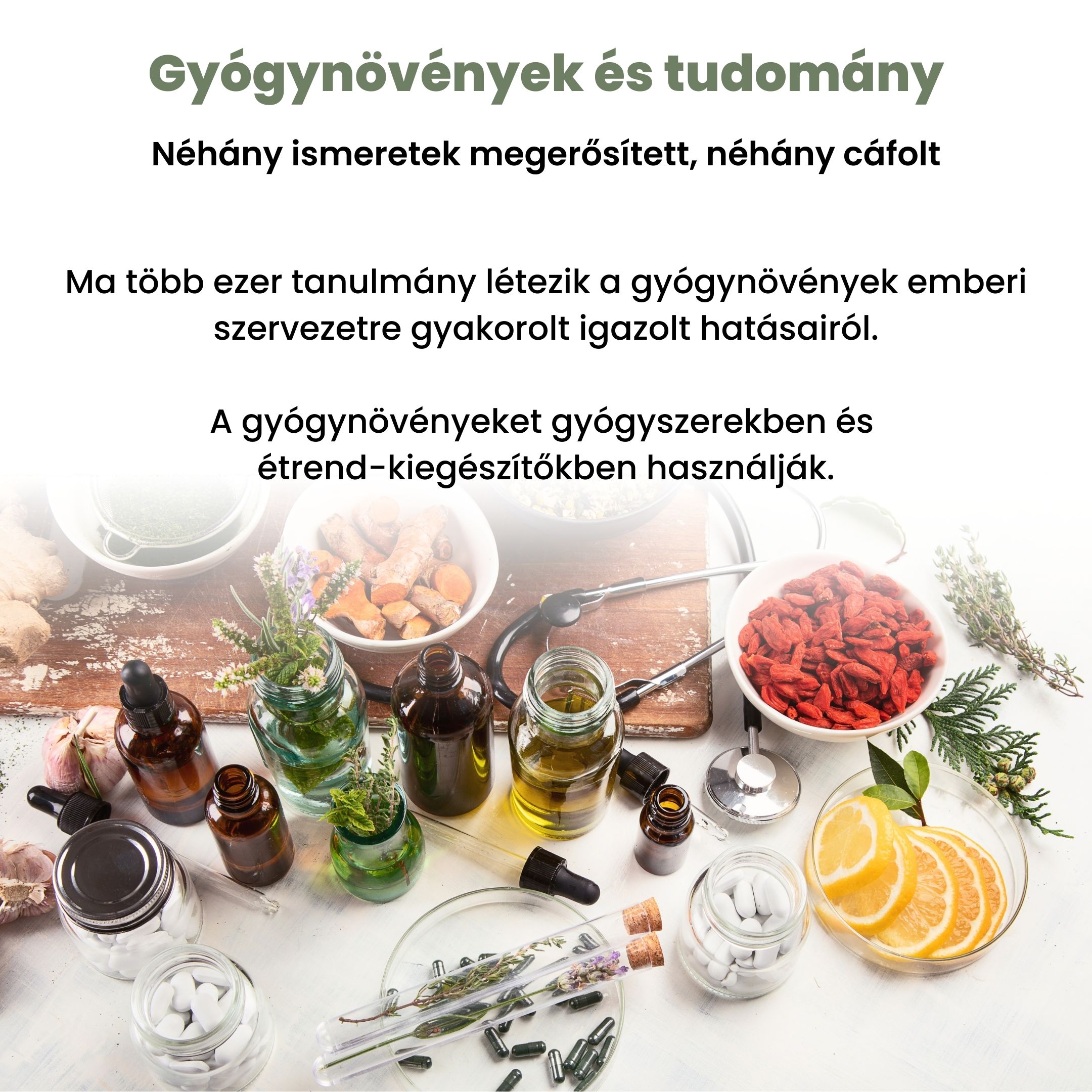 BrainMax Pure Ginkgo Biloba tinktura 1:1, 100 ml Obrázek