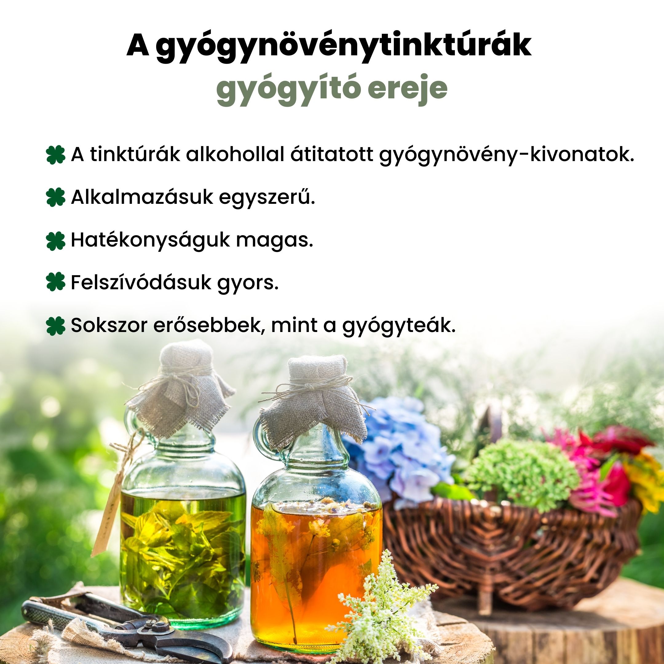 BrainMax Pure Ginkgo Biloba tinktura 1:1, 100 ml Obrázek