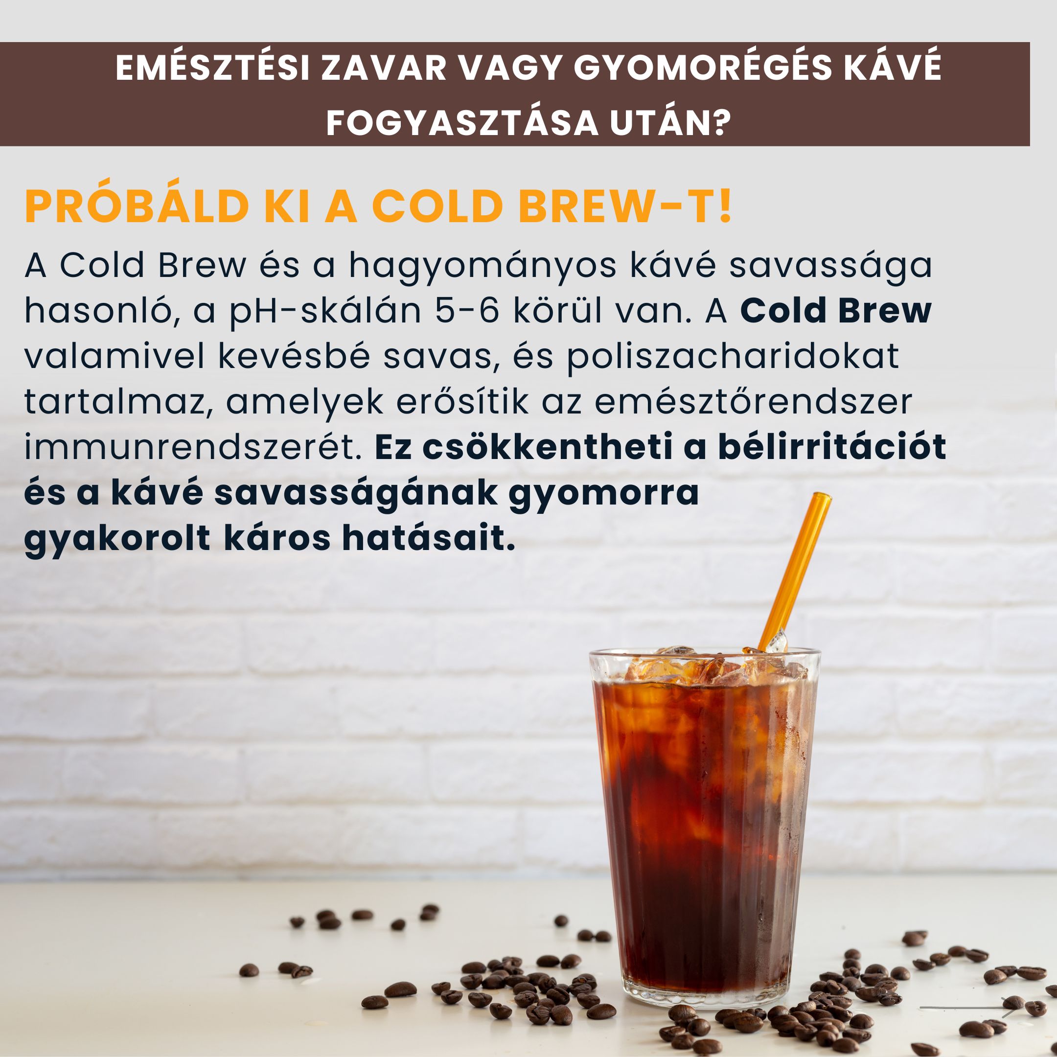 BrainMax Pure láhev na přípravu Cold Brew, 750 ml - světle hnědá Obrázek