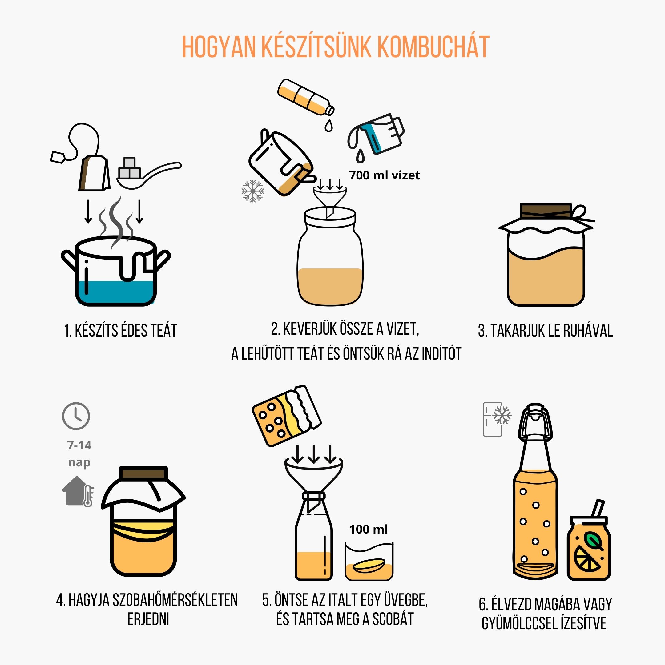 BrainMax Pure BrainMax Kombucha starter, BIO, 100 ml Obrázek
