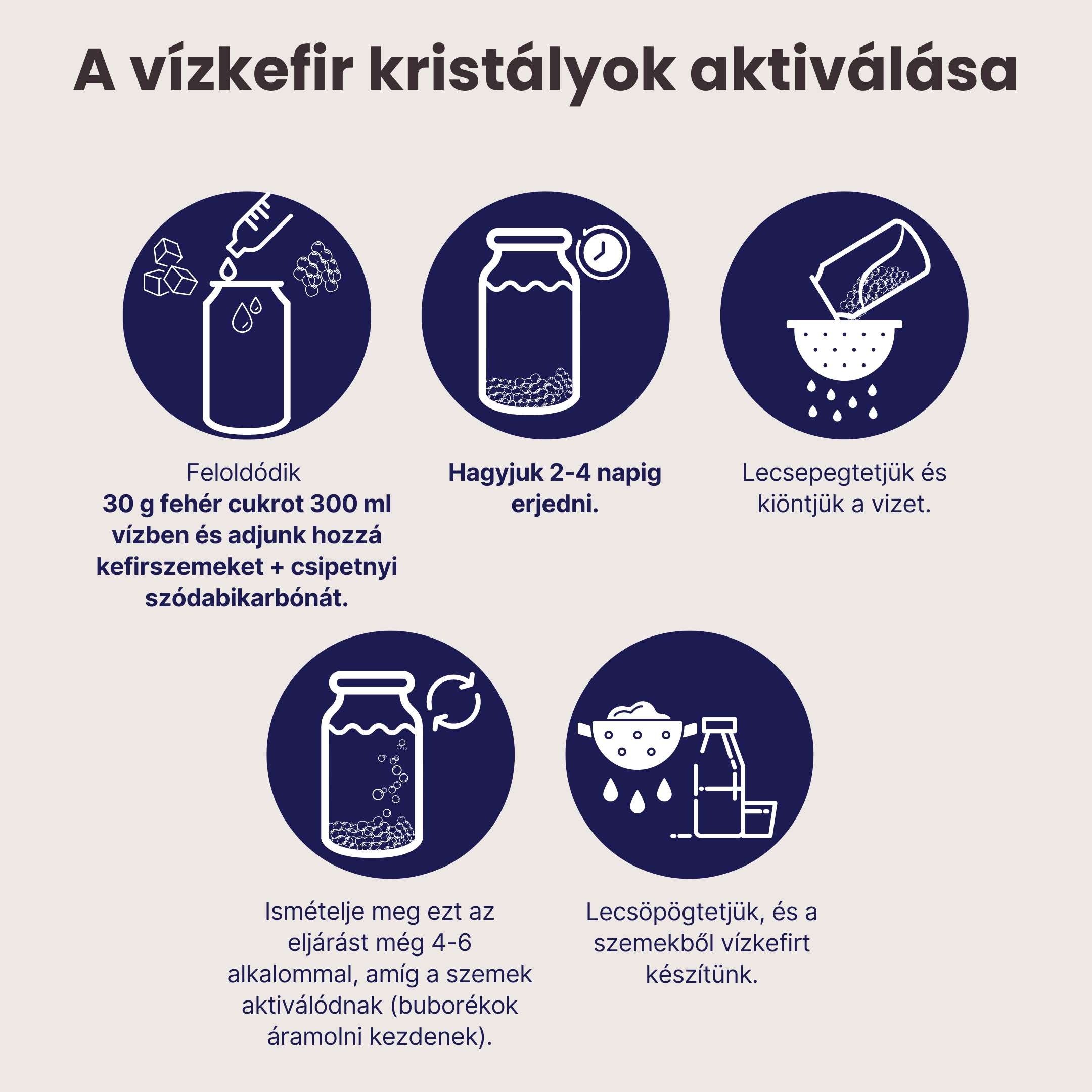 BrainMax Pure Vodní kefír, zrna, BIO, 5 g Obrázek