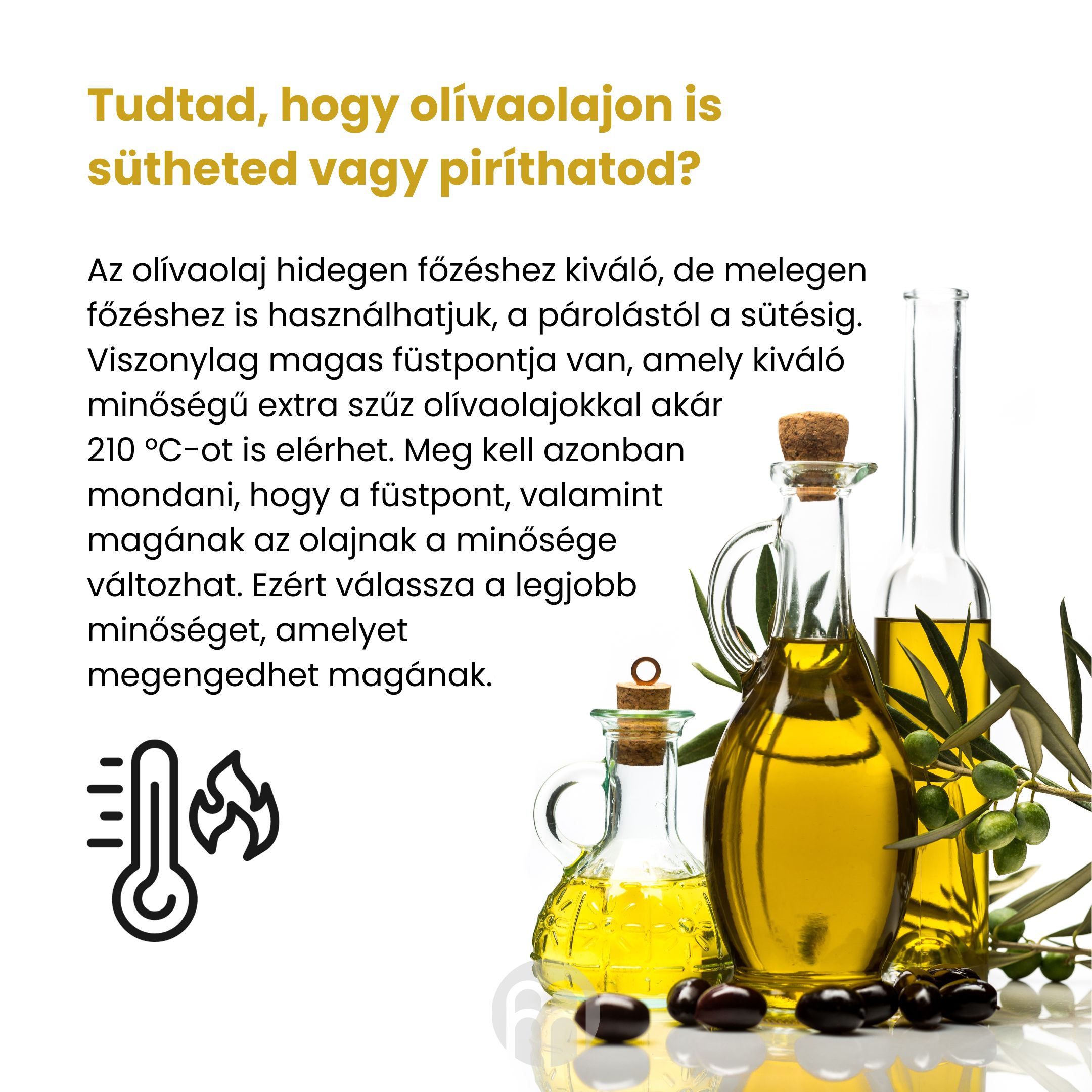 BrainMax Pure Extra panenský olivový olej Picual, BIO, 500 ml Obrázek