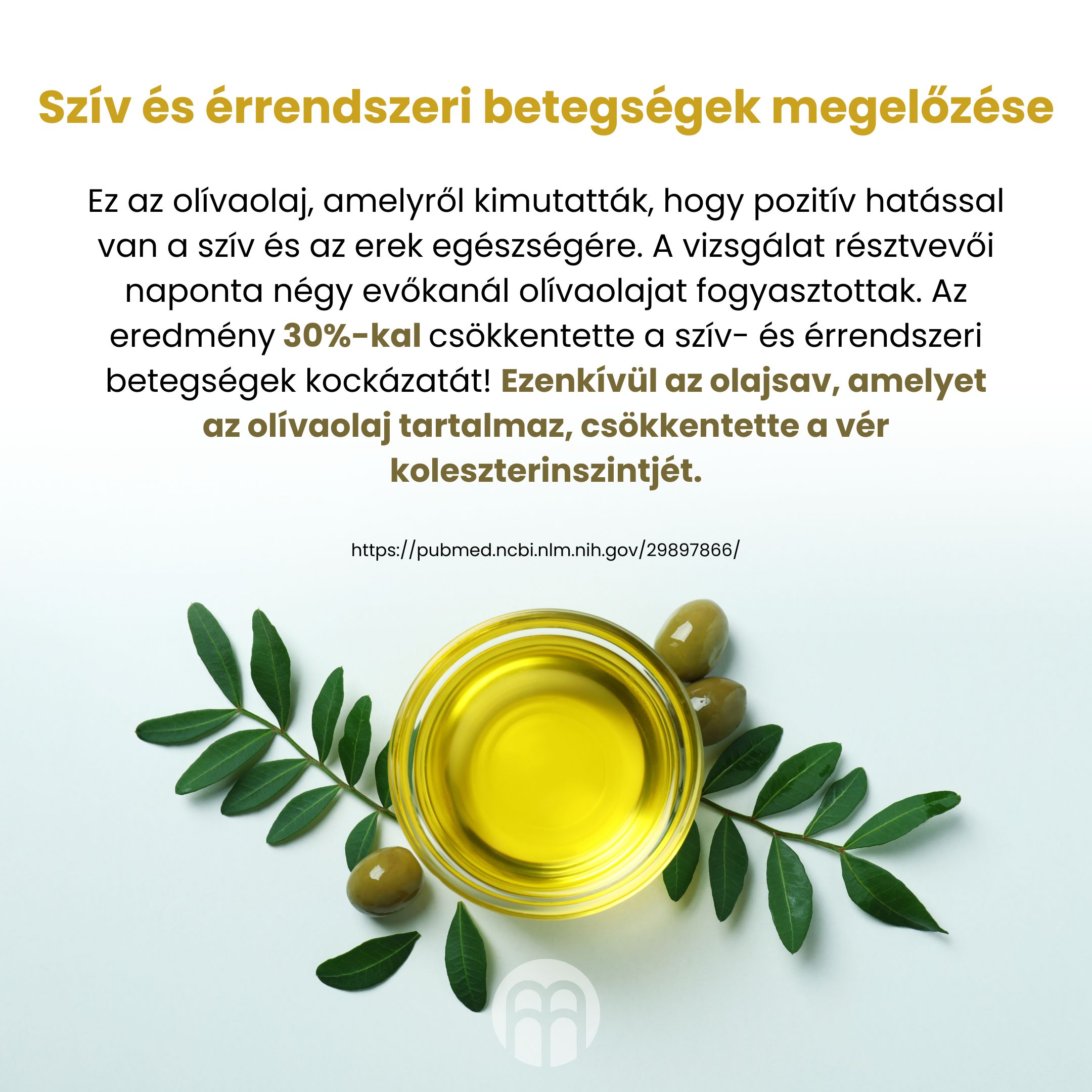 BrainMax Pure Extra panenský olivový olej Picual, BIO, 500 ml Obrázek