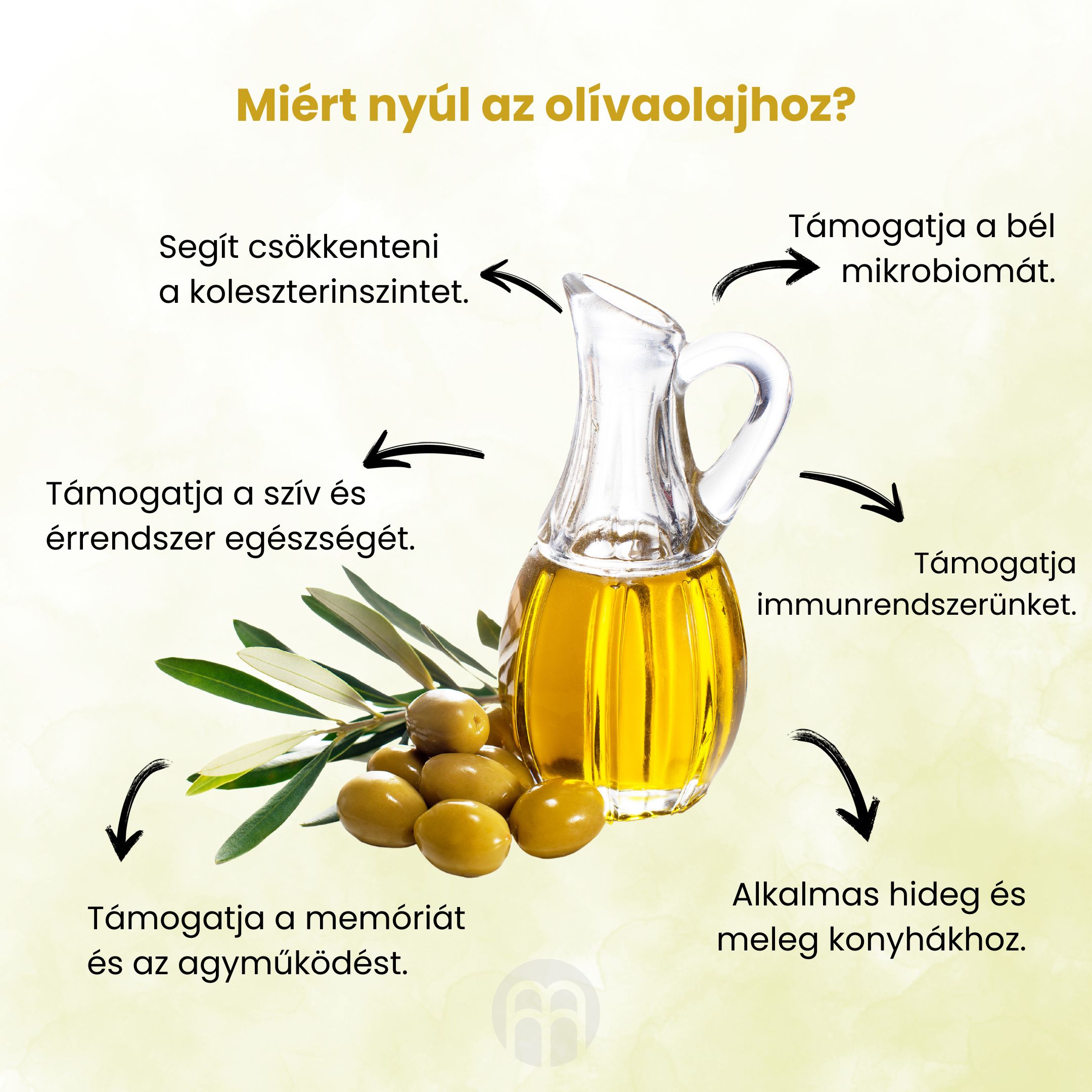 BrainMax Pure Extra panenský olivový olej Picual, BIO, 500 ml Obrázek