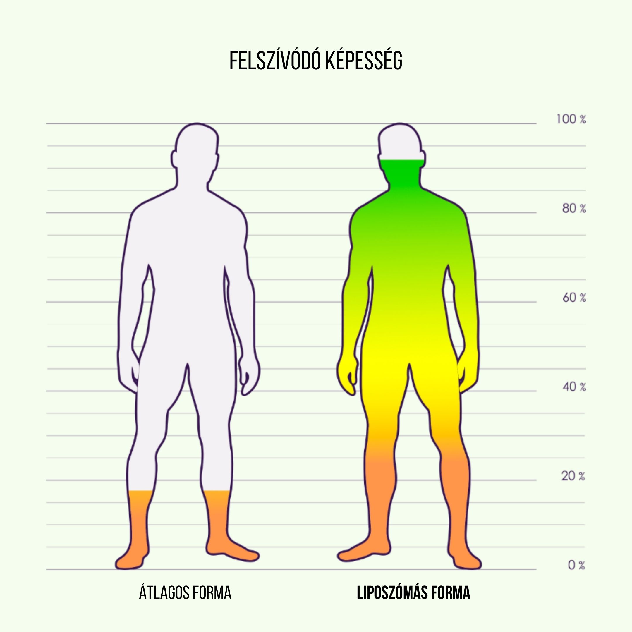 BrainMax Lipozomální komplex pro podporu imunity, ISENOLIC®, 200 ml Obrázek