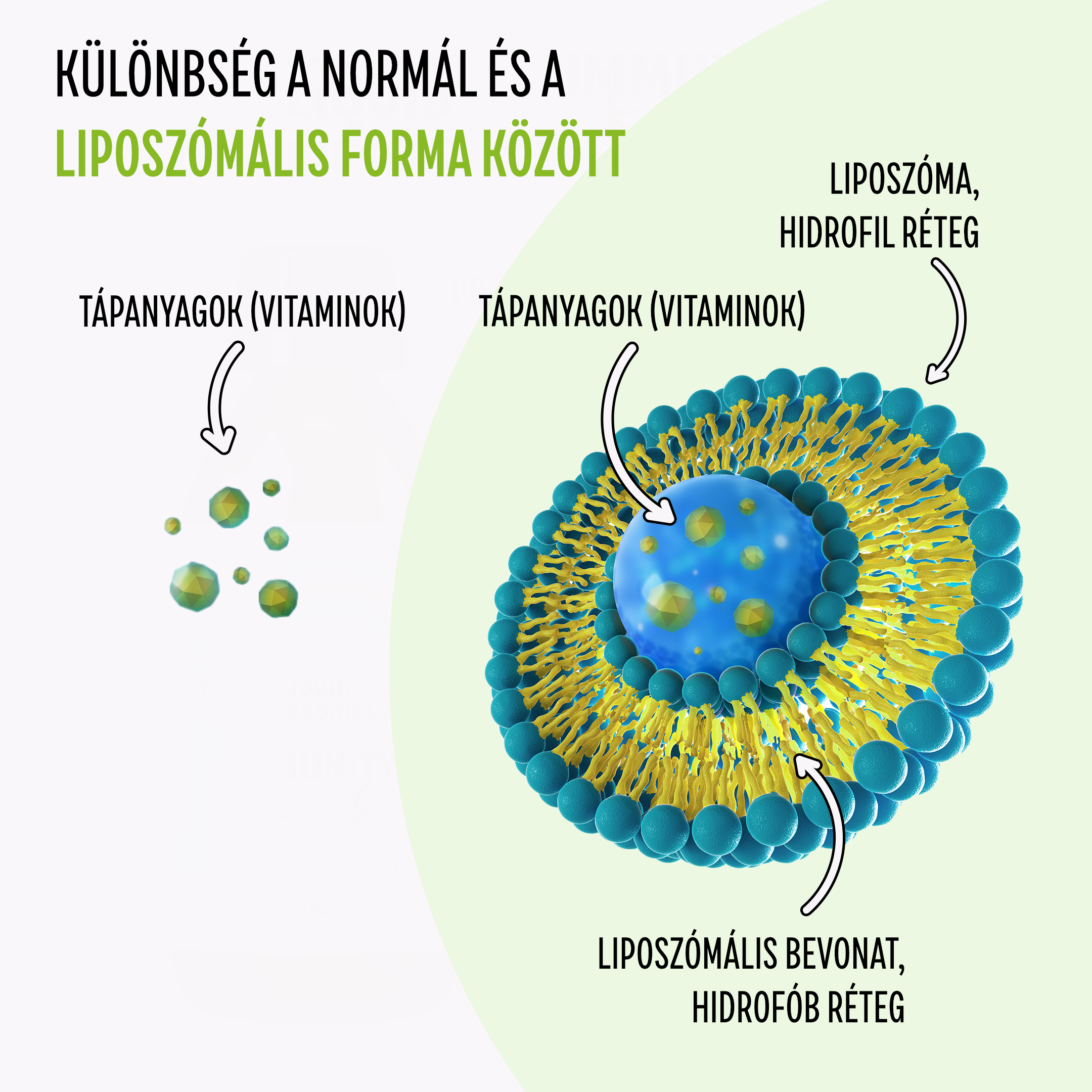 BrainMax Lipozomální komplex pro podporu imunity, ISENOLIC®, 200 ml Obrázek