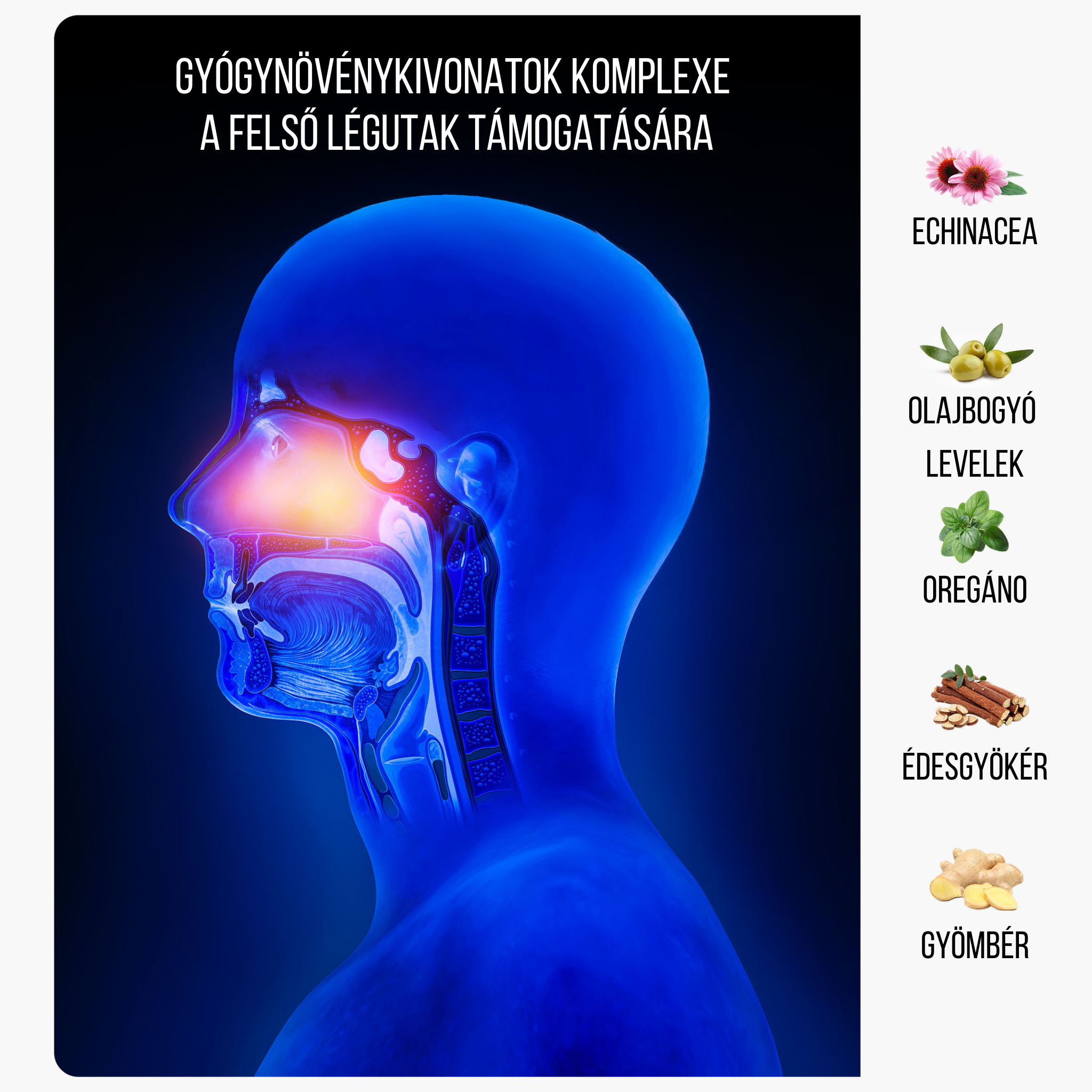 BrainMax IMMUNIZER! 60 rostlinných kapslí Obrázek