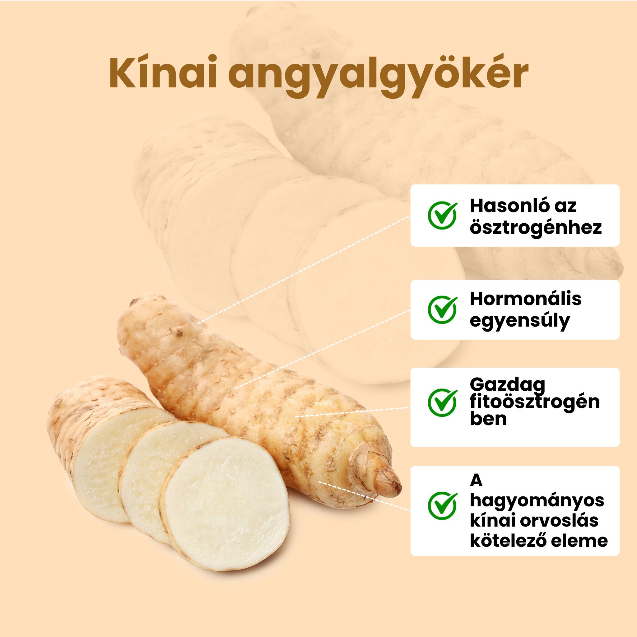 BrainMax Women Menopause Support, podpora při menopauze, 90 rostlinných kapslí Obrázek