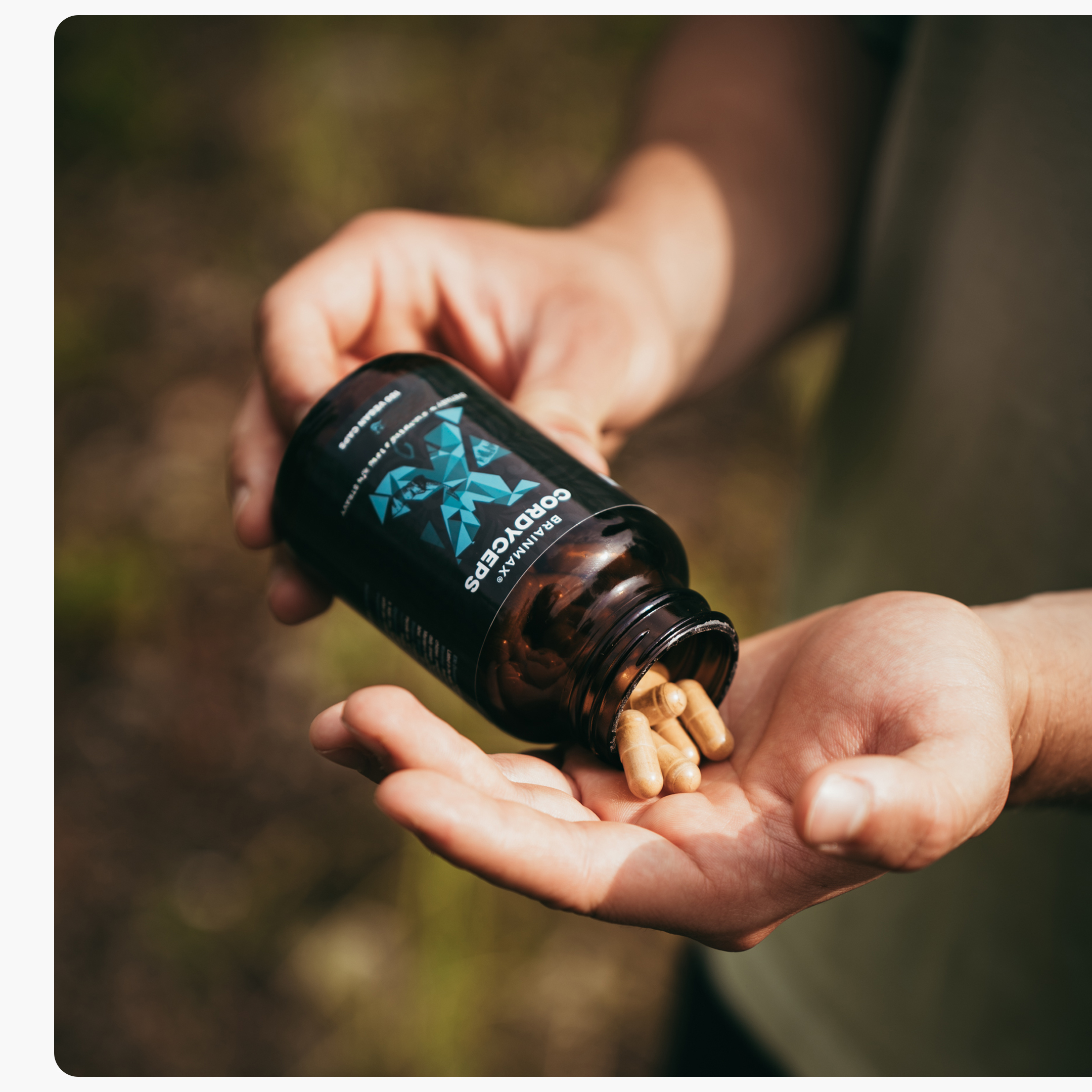 BrainMax Cordyceps extrakt, 50% koncentrace polysacharidů a 20 % β-1,3/1,6 D-glukanů, 500 mg, 100 rostlinných kapslí, 500 mg, 100 rostlinných kapslí Obrázek