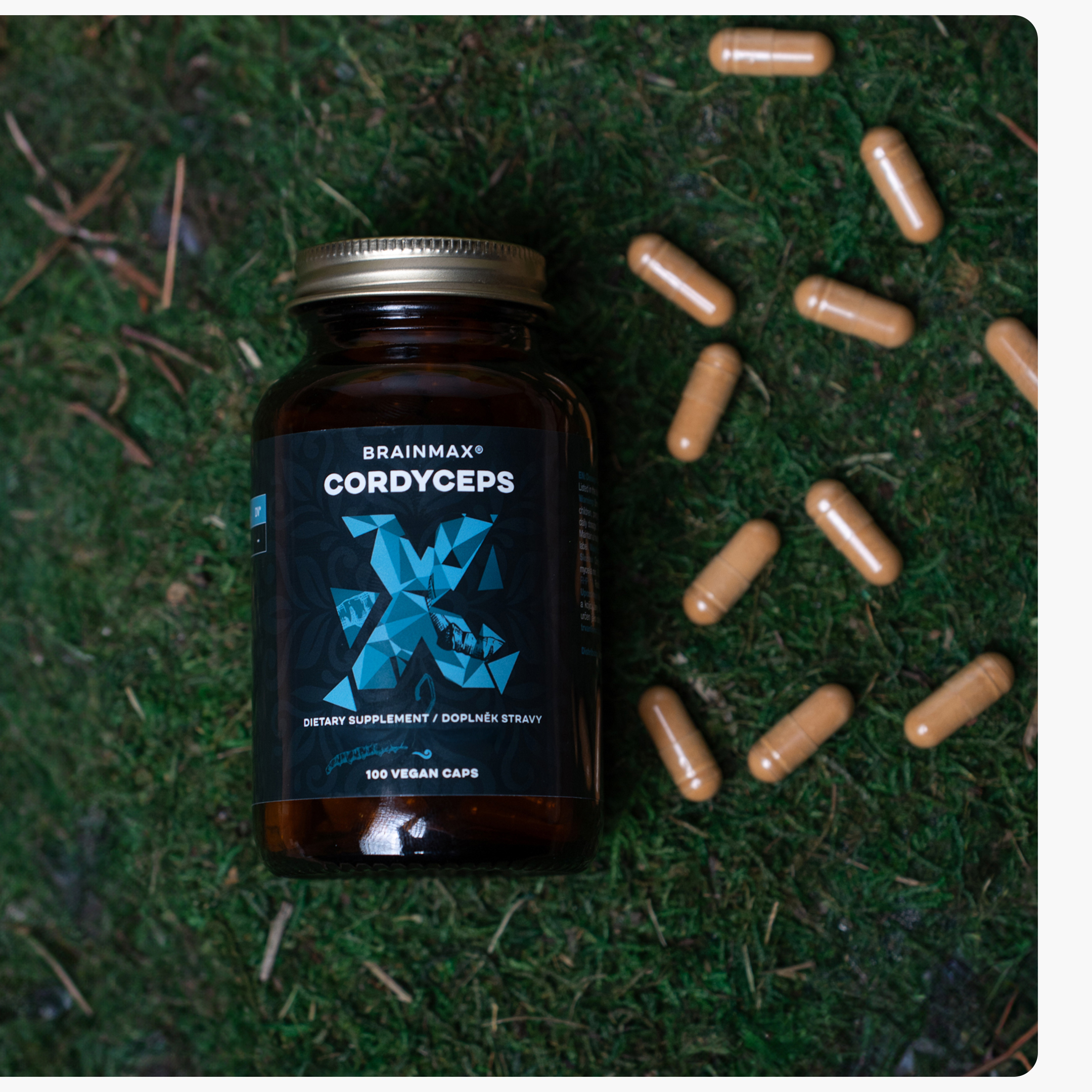 BrainMax Cordyceps extrakt, 50% koncentrace polysacharidů a 20 % β-1,3/1,6 D-glukanů, 500 mg, 100 rostlinných kapslí, 500 mg, 100 rostlinných kapslí Obrázek