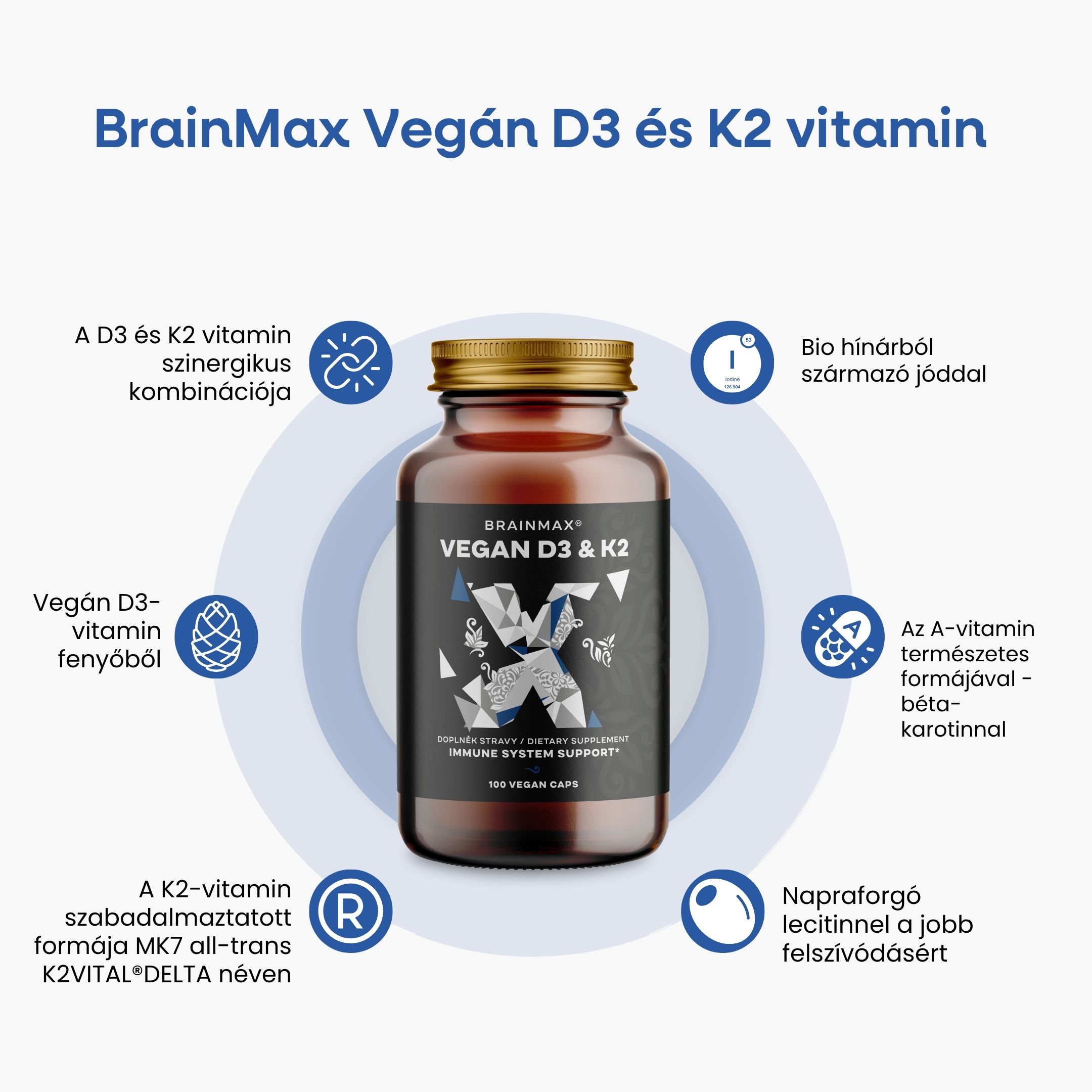 BrainMax Vegan Vitamin D3 & K2 4000 IU / K2 jako MK7 all-trans K2VITAL®DELTA 150 mcg, 100 rostlinných kapslí Obrázek