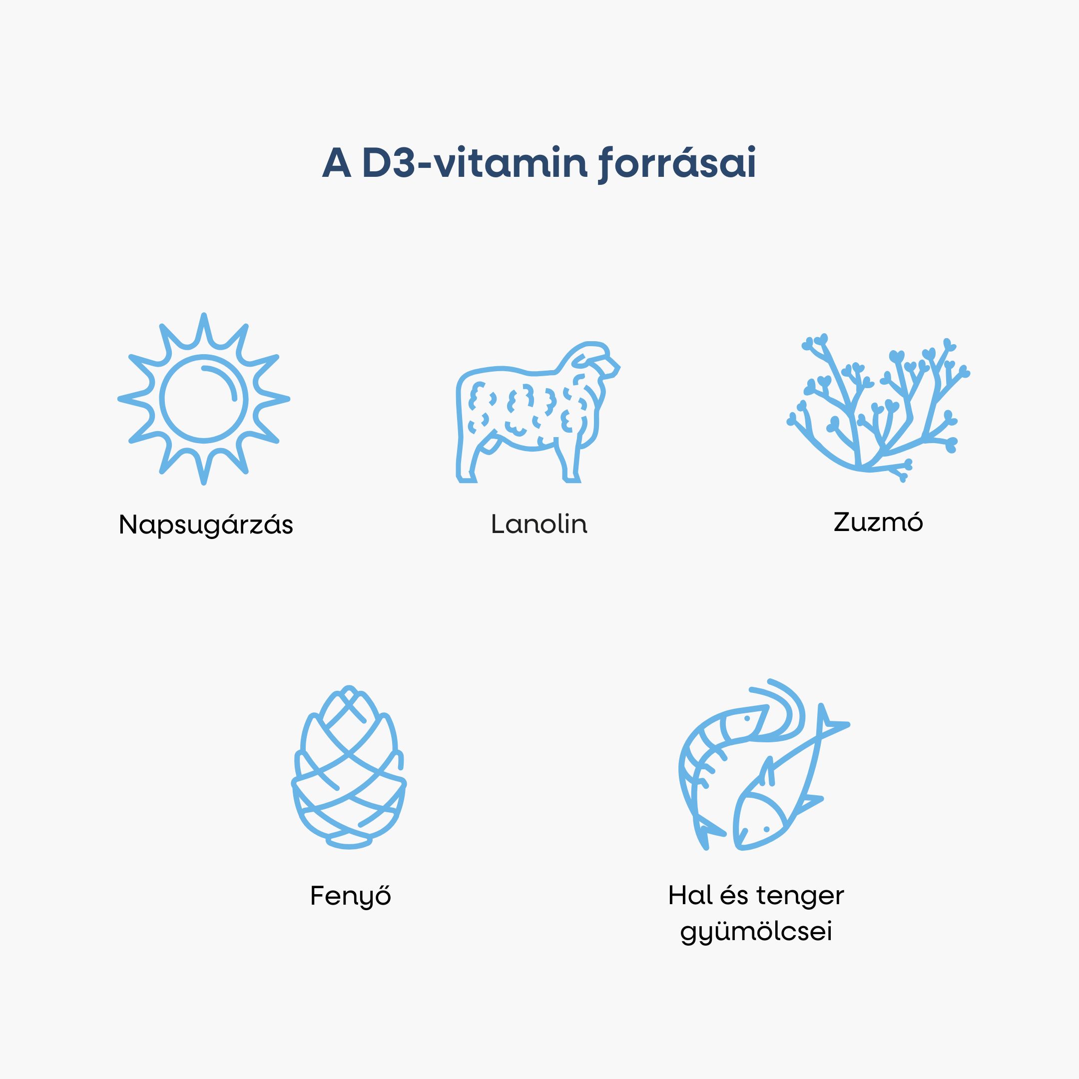 BrainMax Vegan Vitamin D3 & K2 4000 IU / K2 jako MK7 all-trans K2VITAL®DELTA 150 mcg, 100 rostlinných kapslí Obrázek